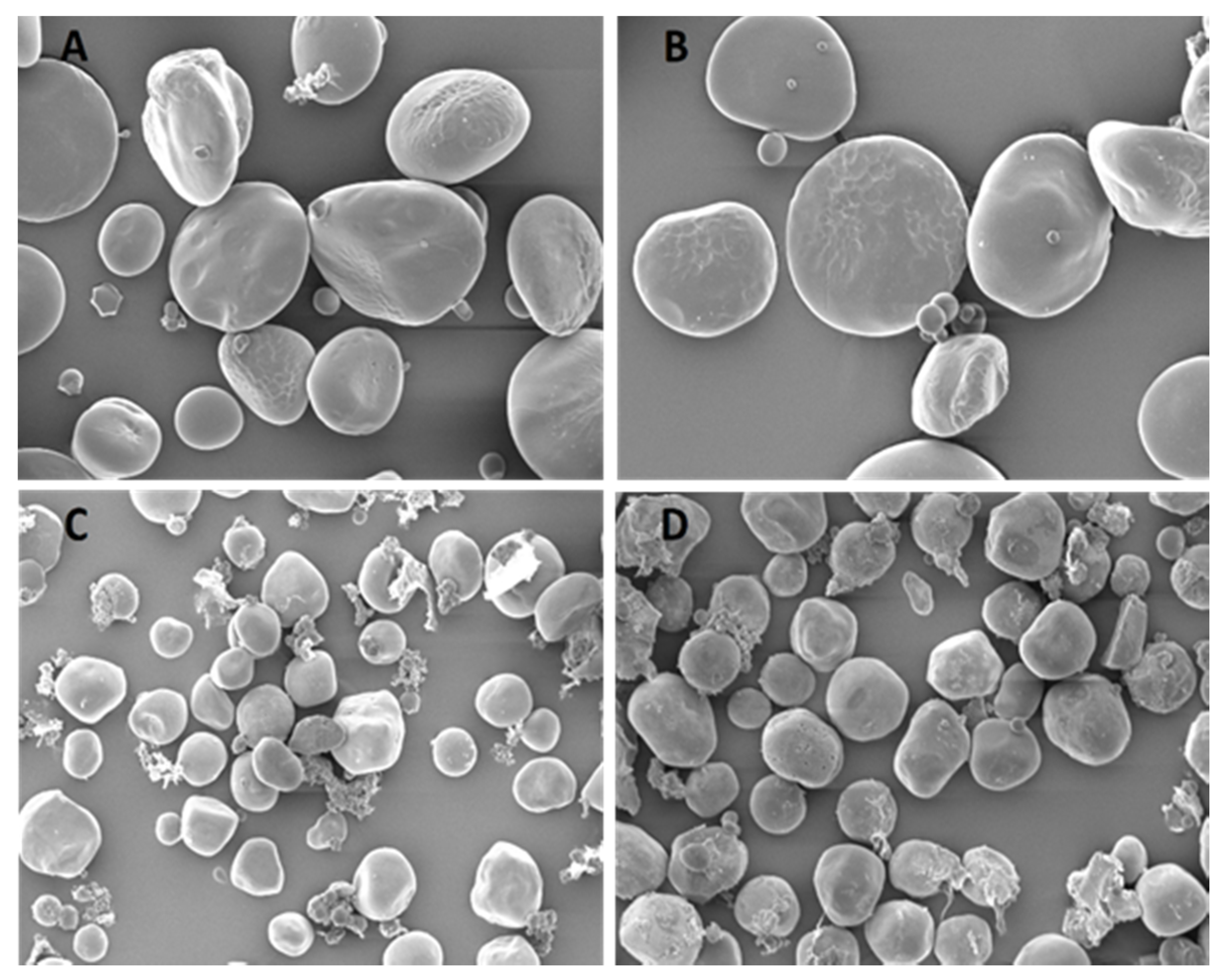 Fermentation 08 00155 g004