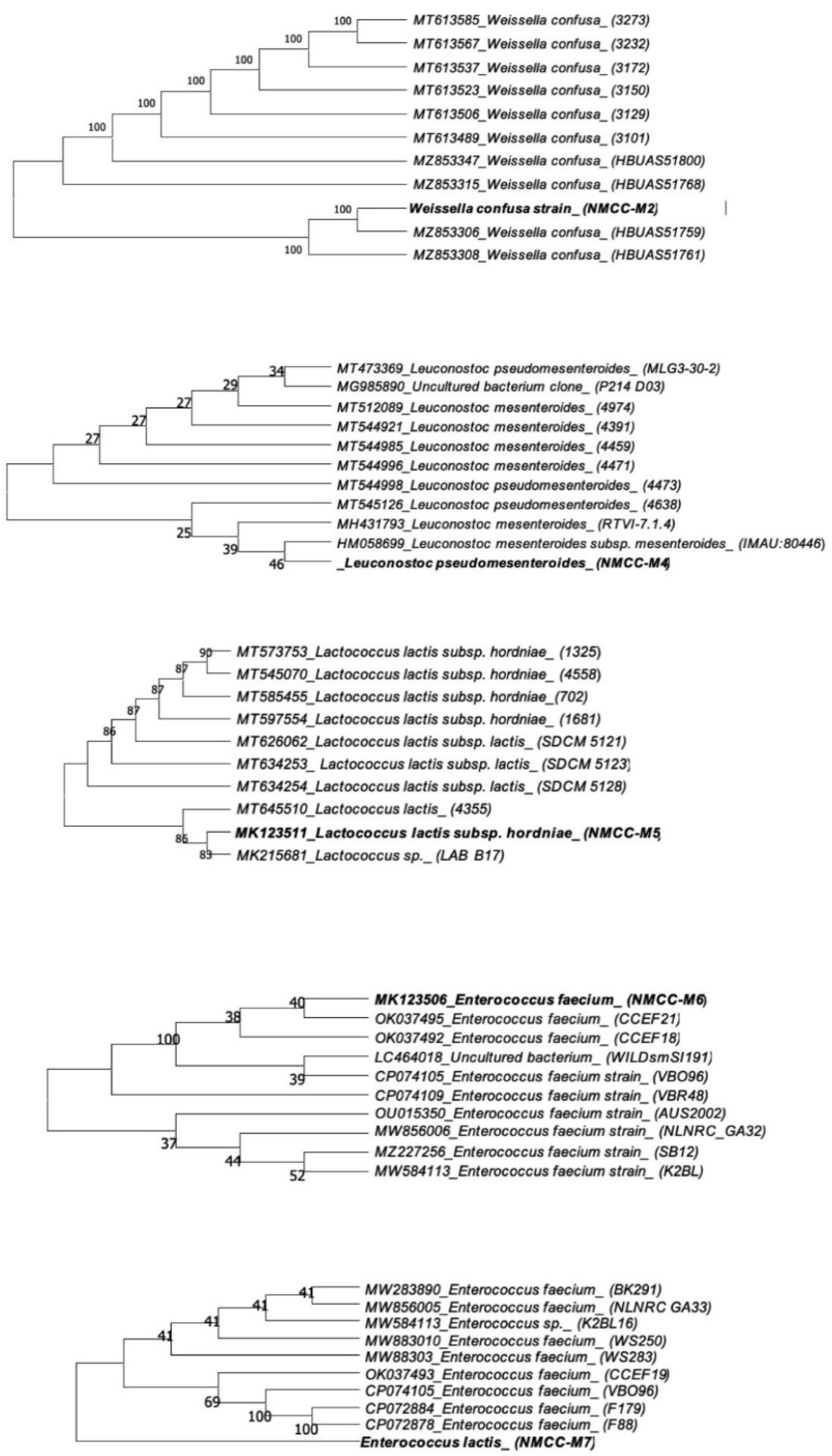 Fermentation 08 00163 g001