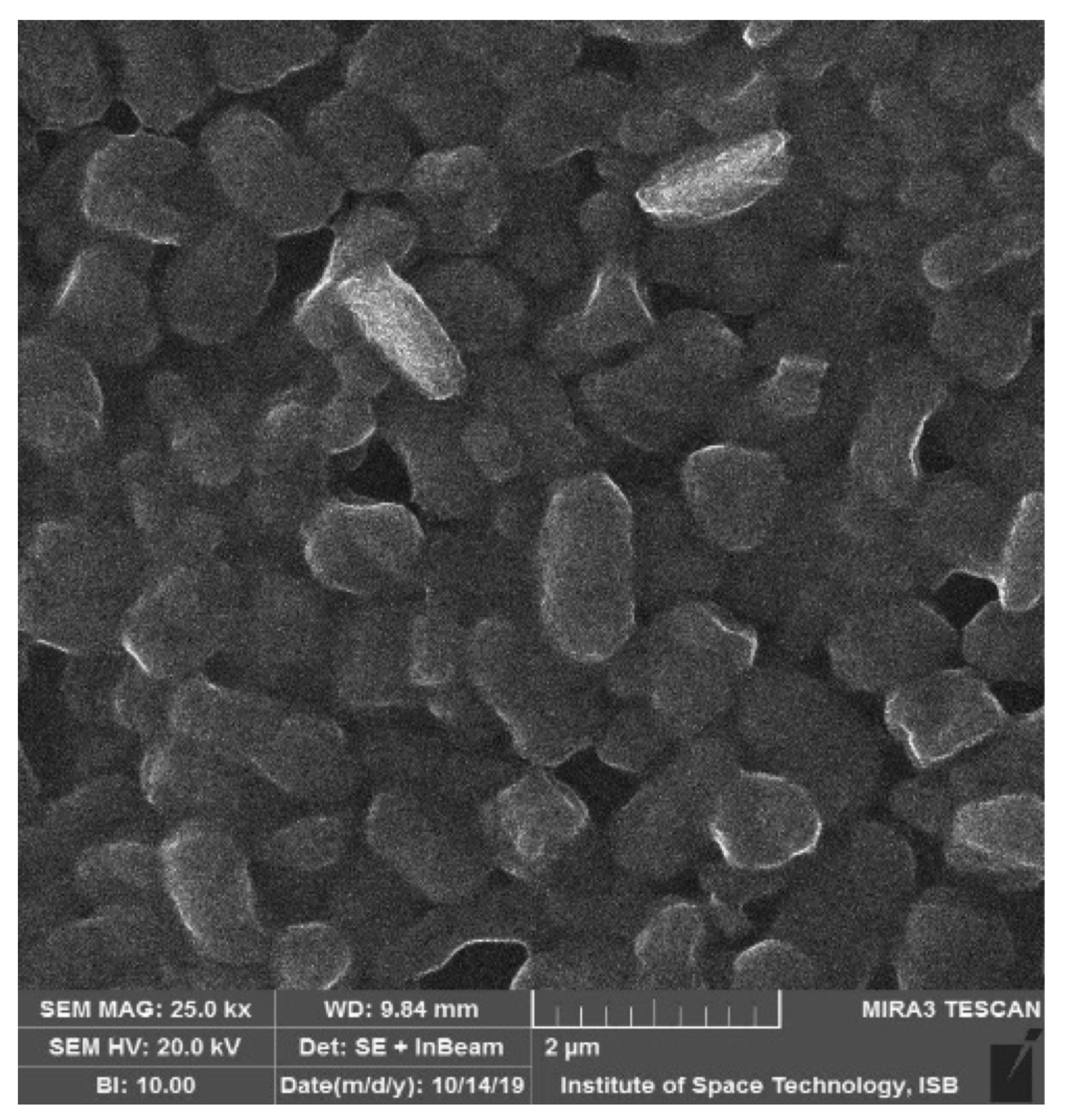 Fermentation 08 00163 g003