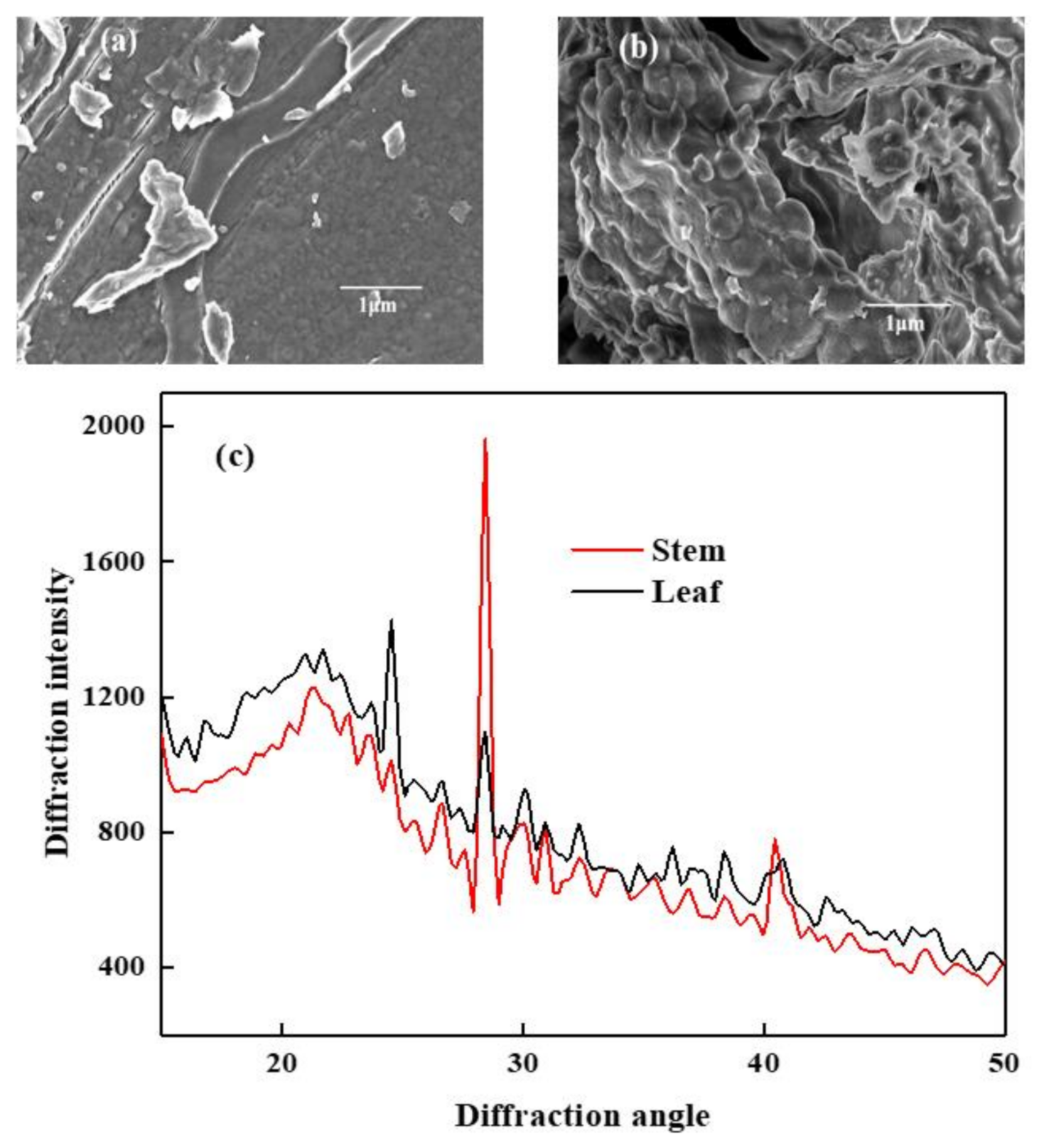 Fermentation 08 00165 g001