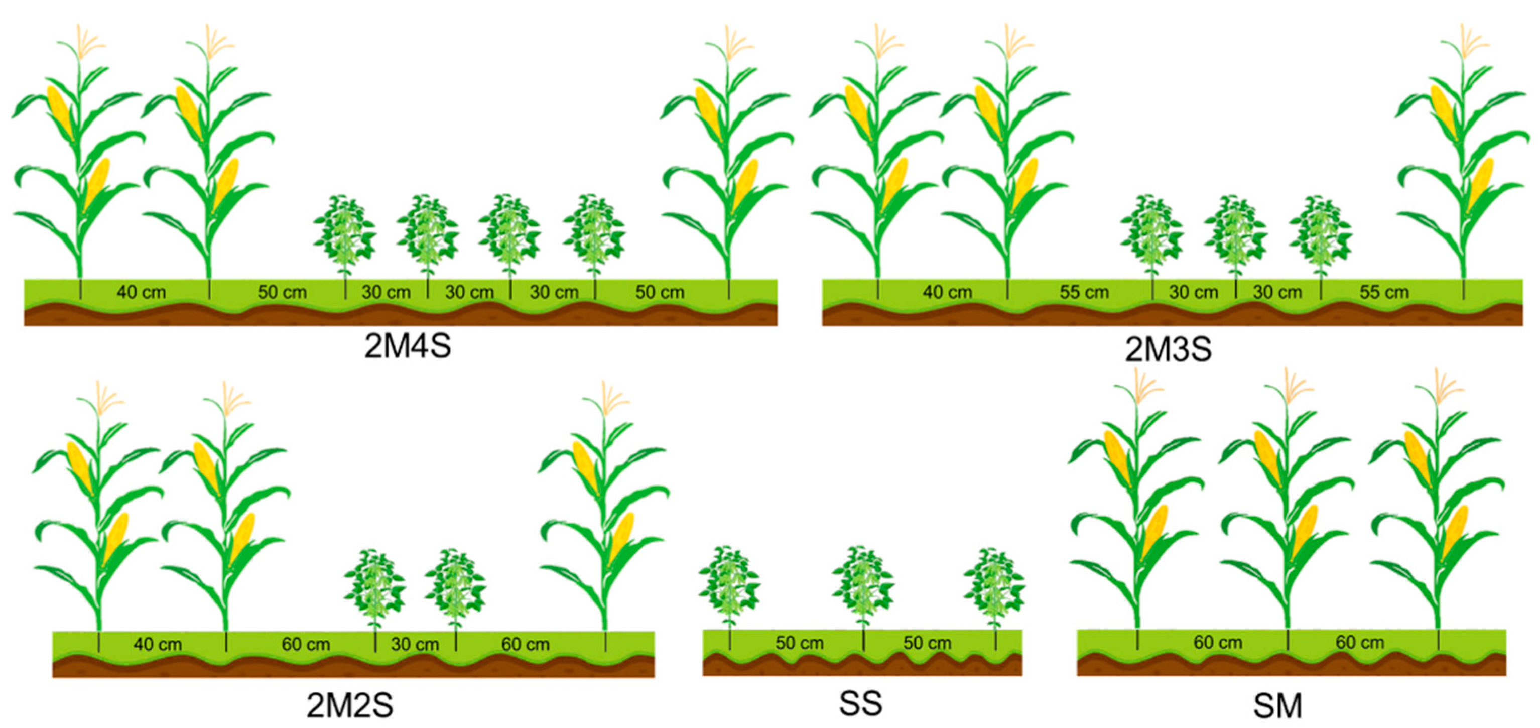 Fermentation 08 00174 g001