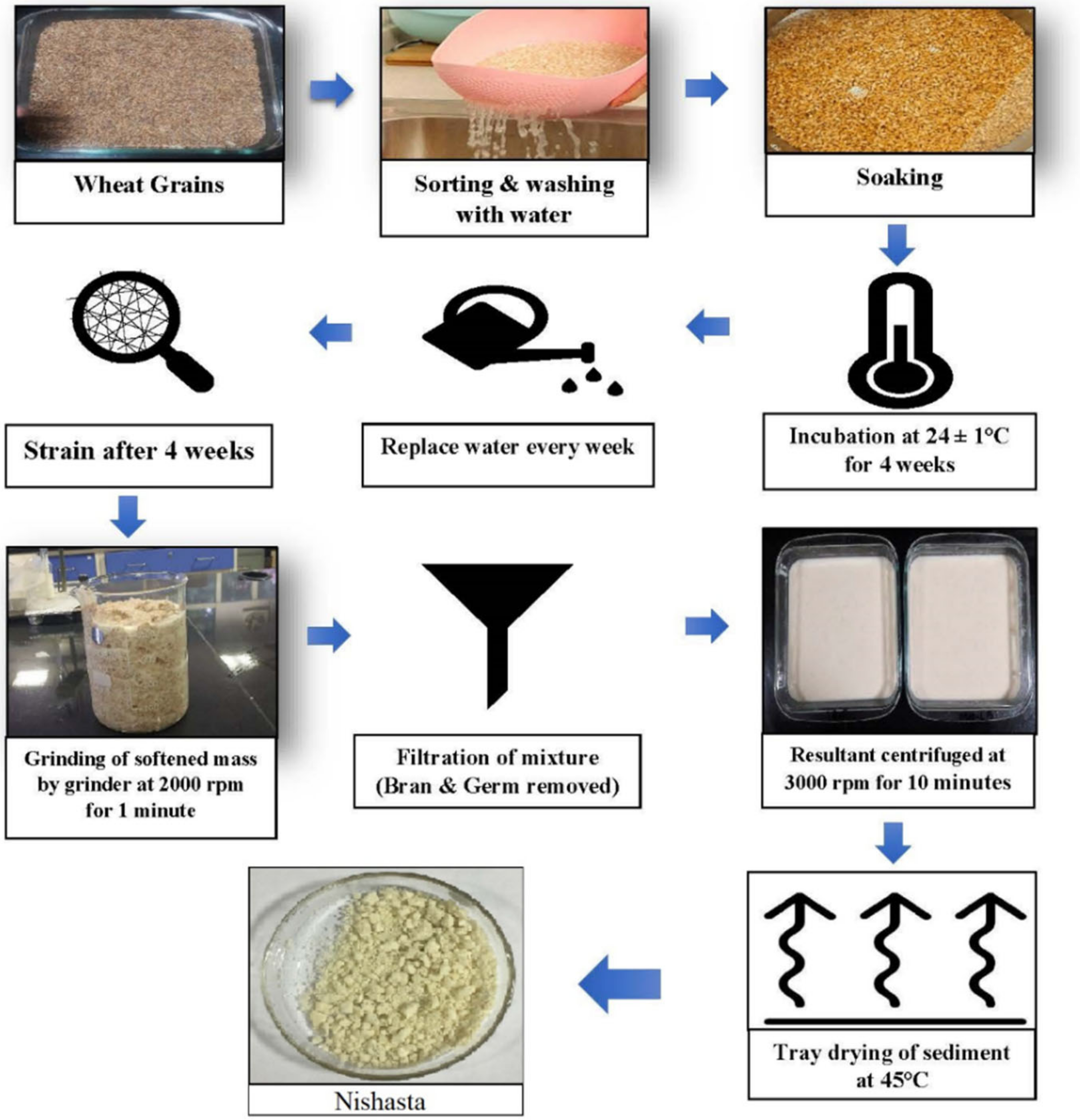 Fermentation 08 00182 g001
