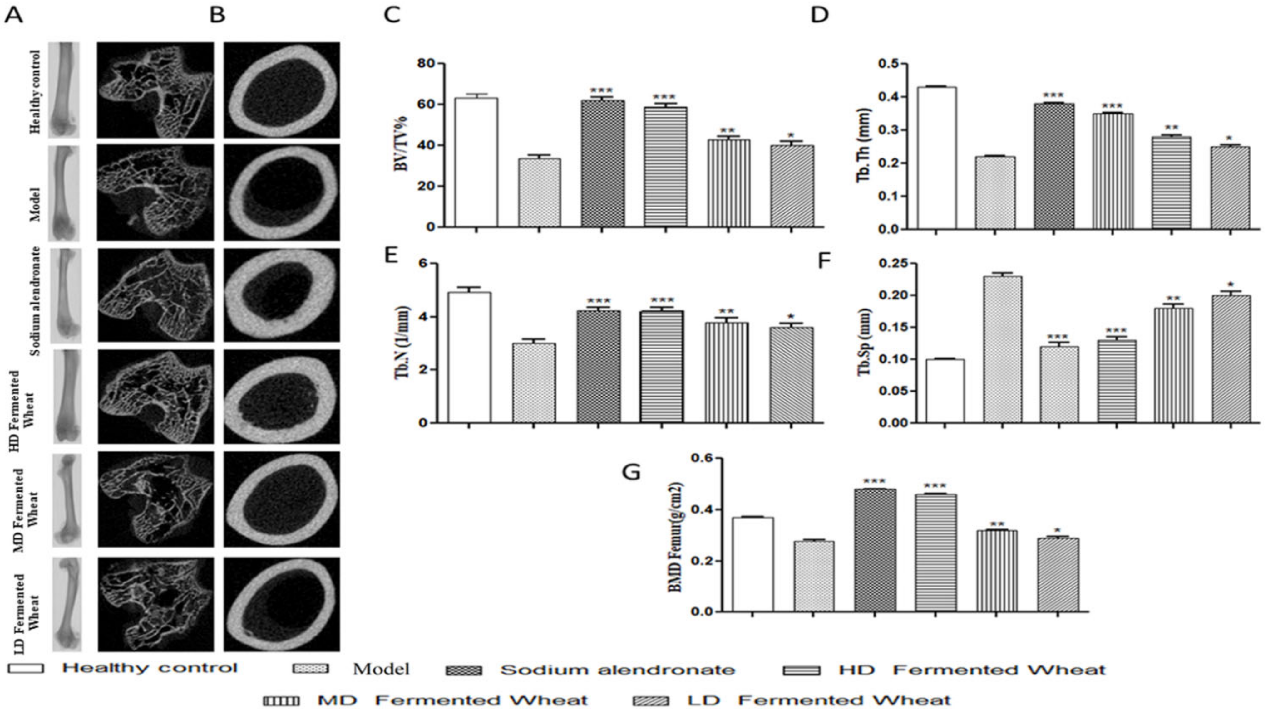 Fermentation 08 00182 g008