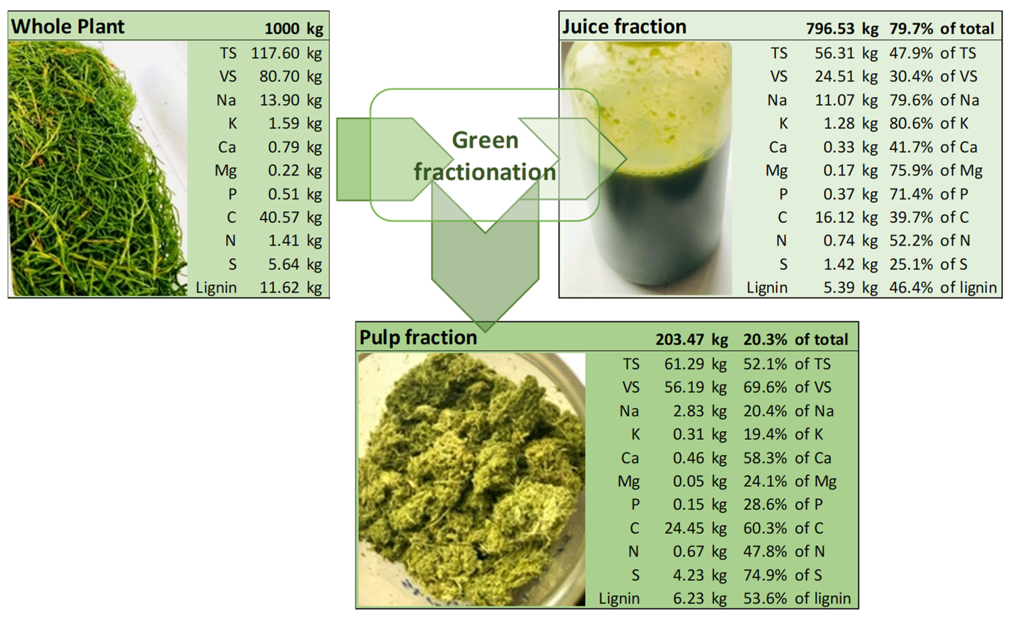 Fermentation 08 00189 g001