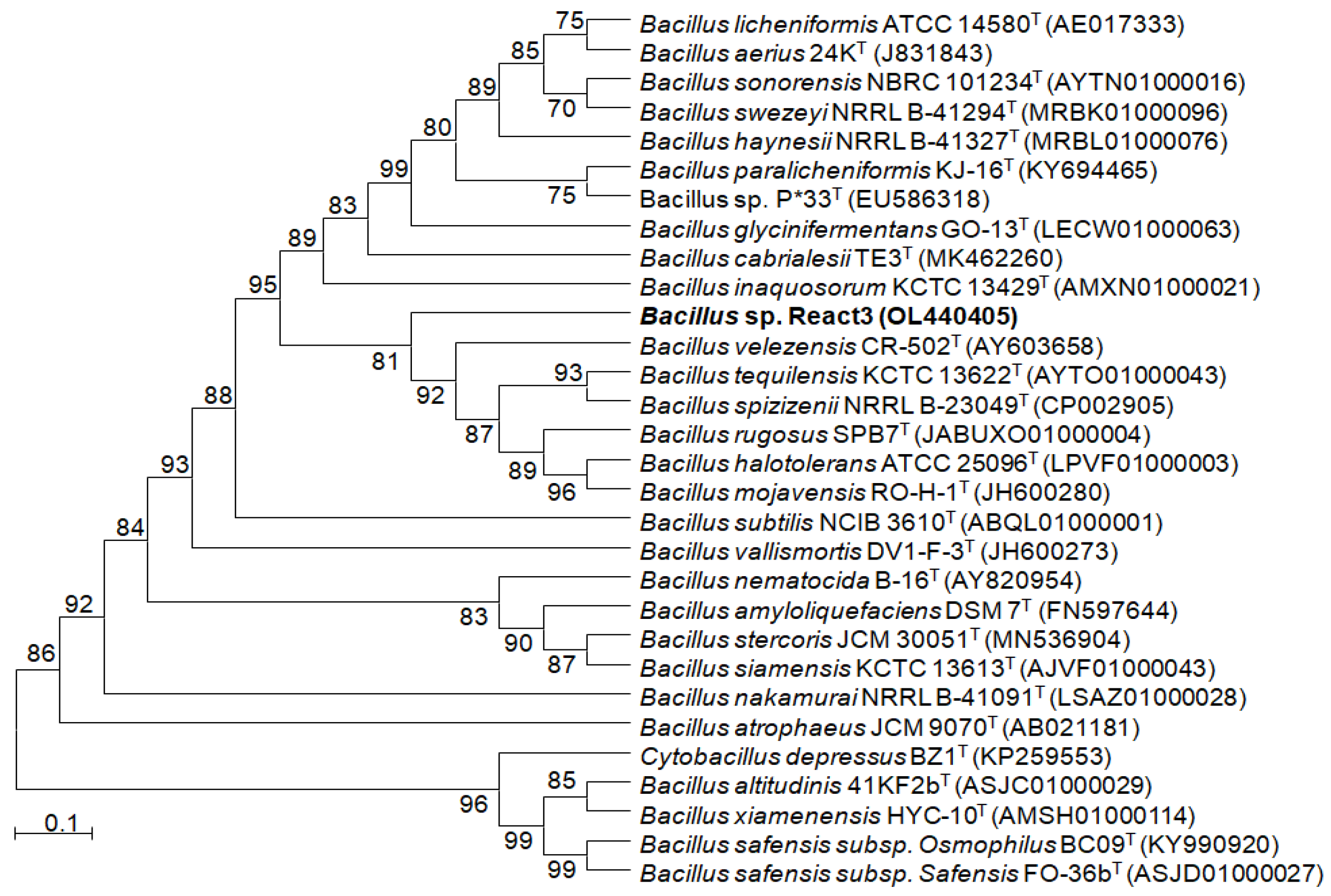 Fermentation 08 00190 g001