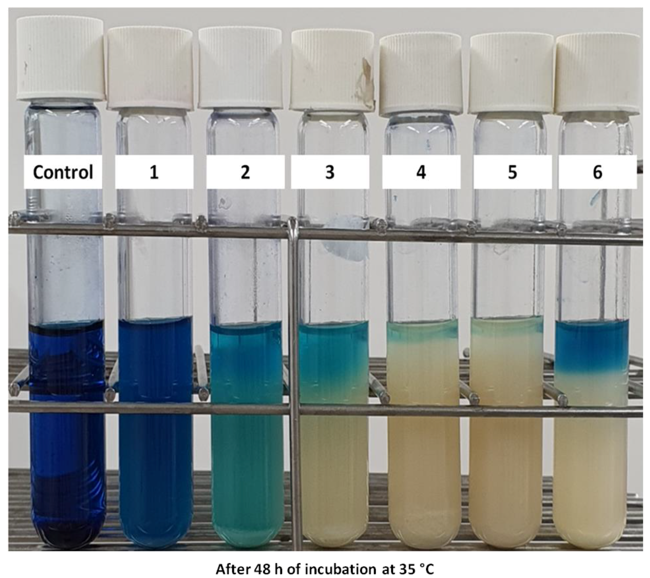 Fermentation 08 00190 g005