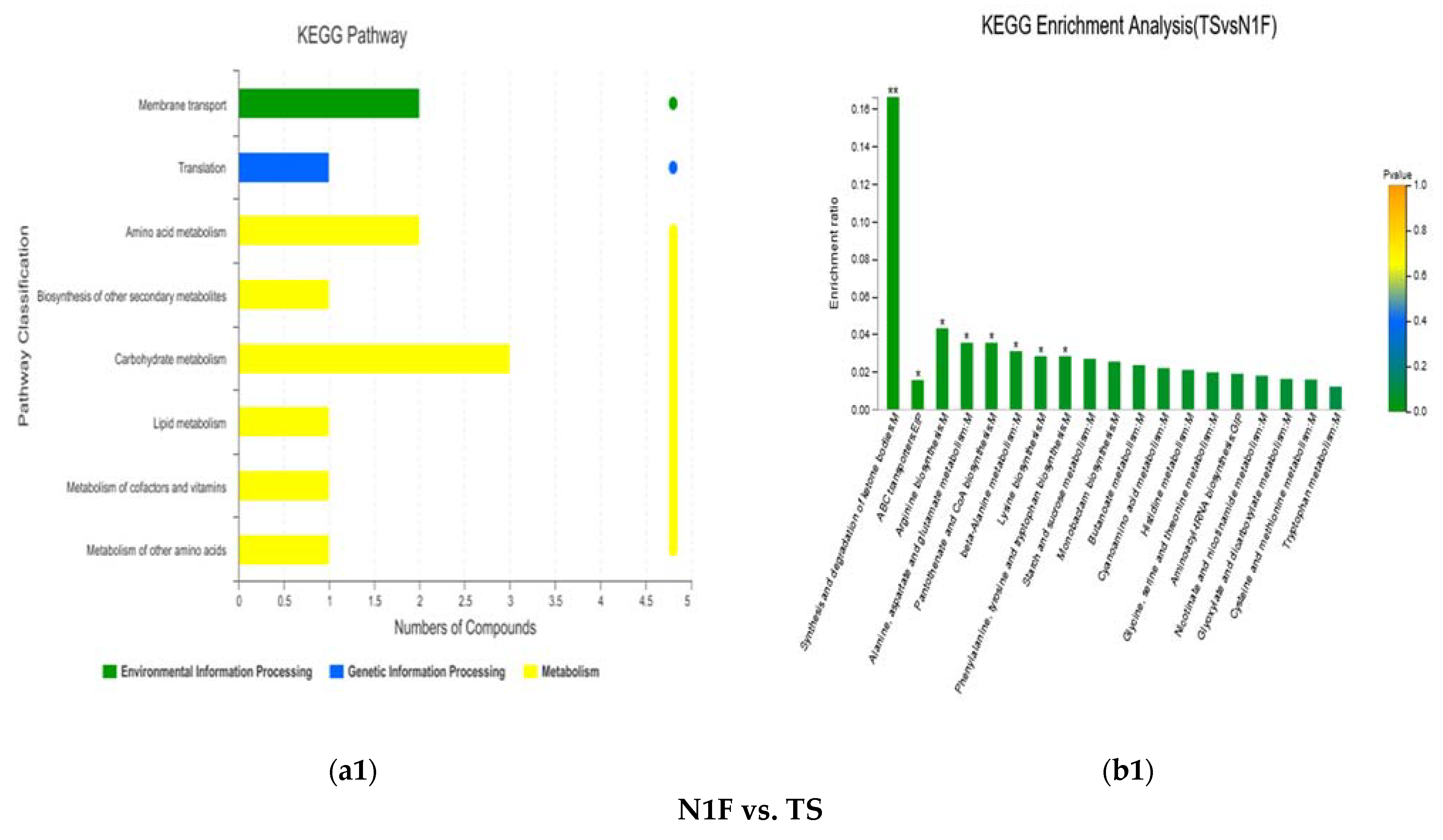 Fermentation 08 00222 g007a