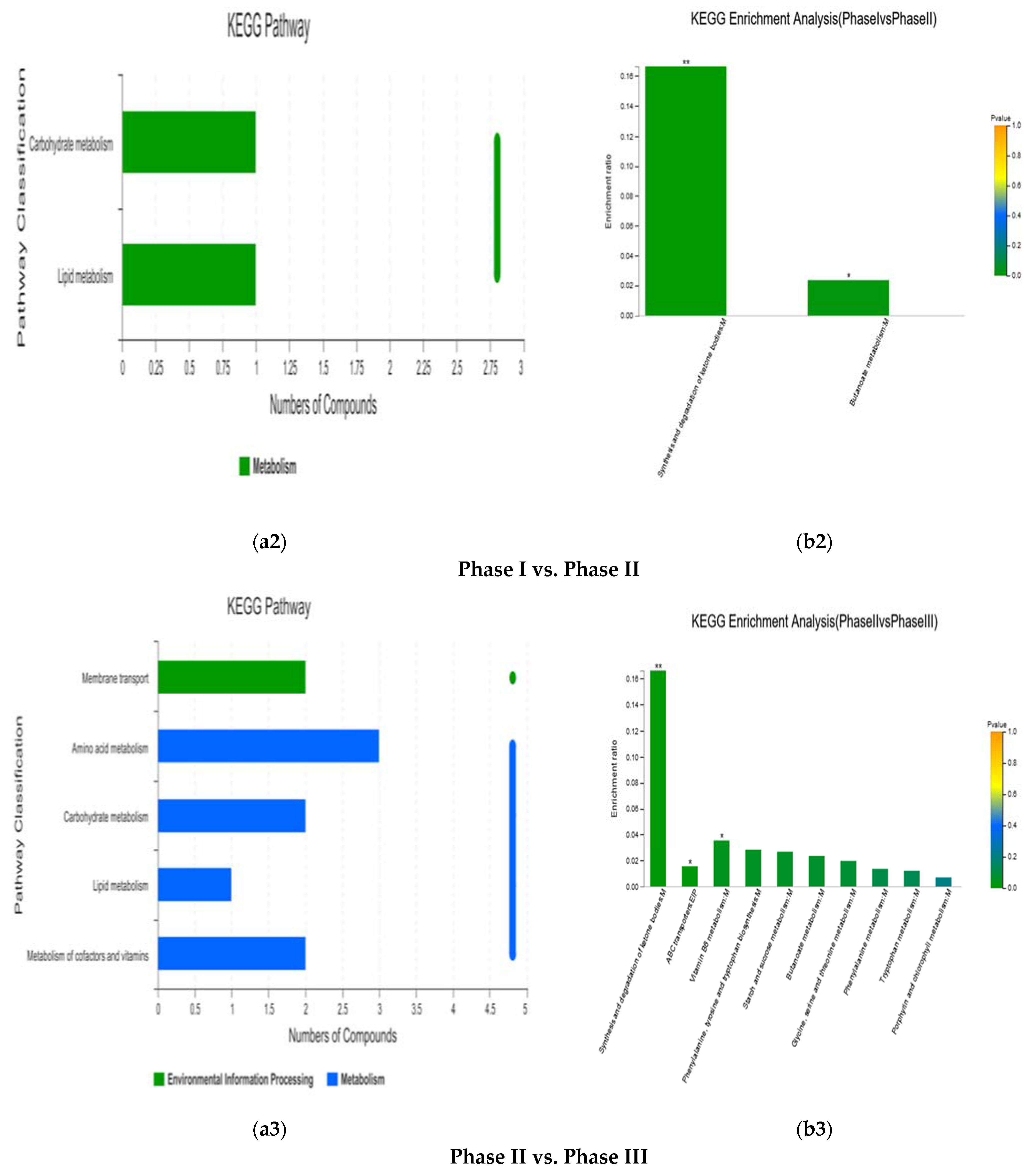 Fermentation 08 00222 g007b