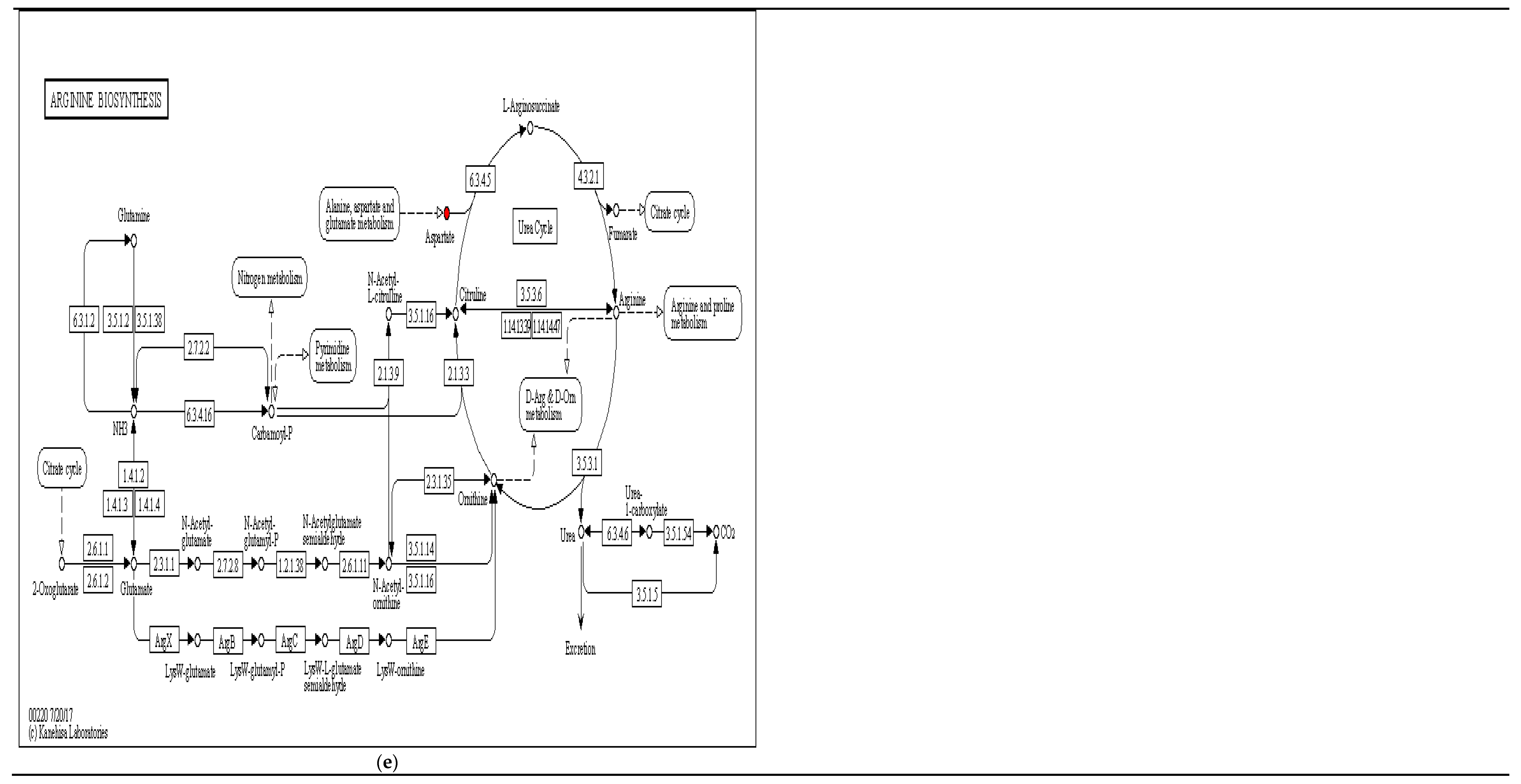 Fermentation 08 00222 g008c