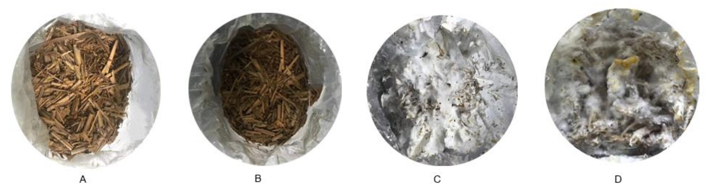 Fermentation 08 00228 g001 Fermentation 08 00228 g001