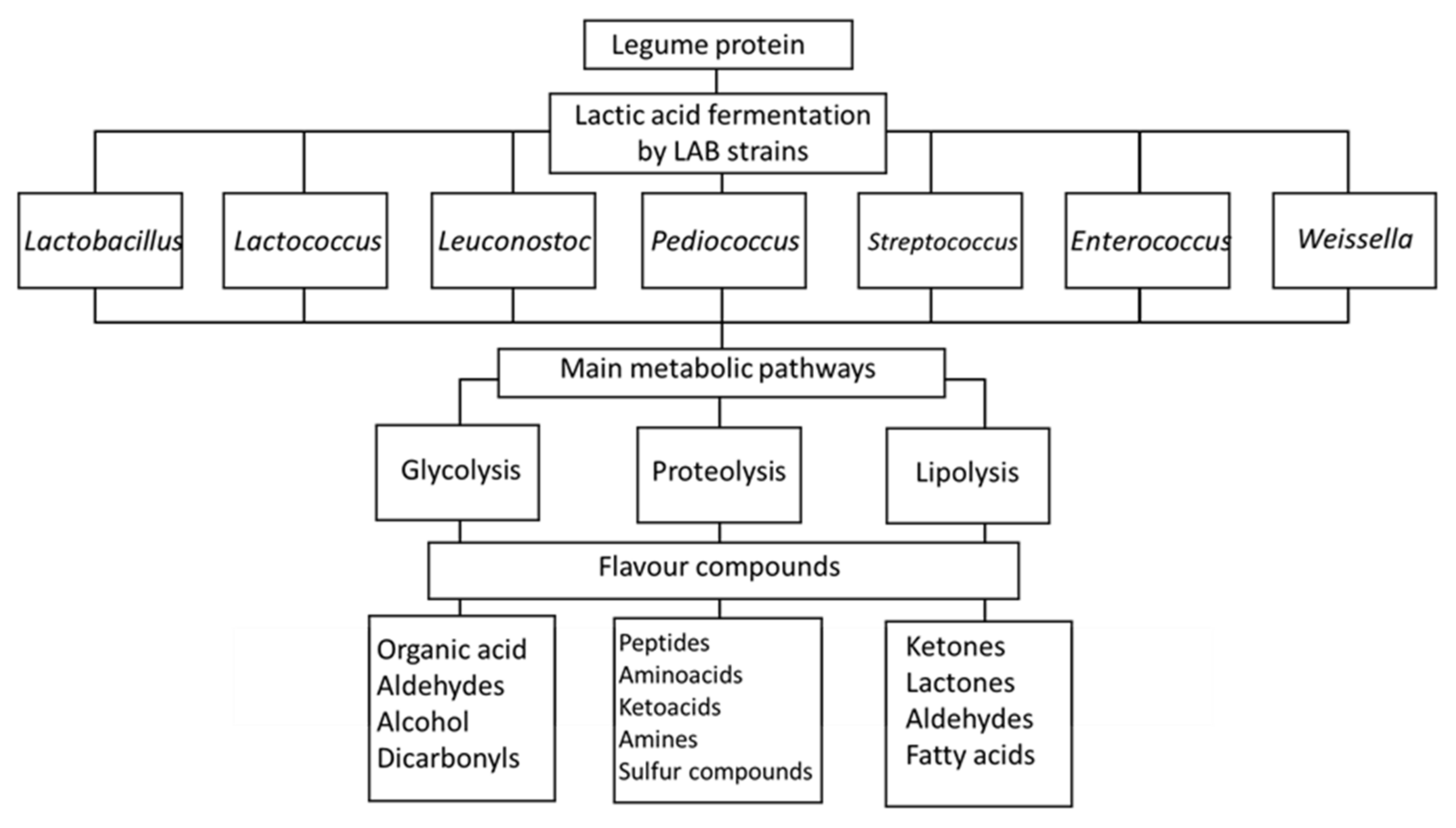 Fermentation 08 00244 g002