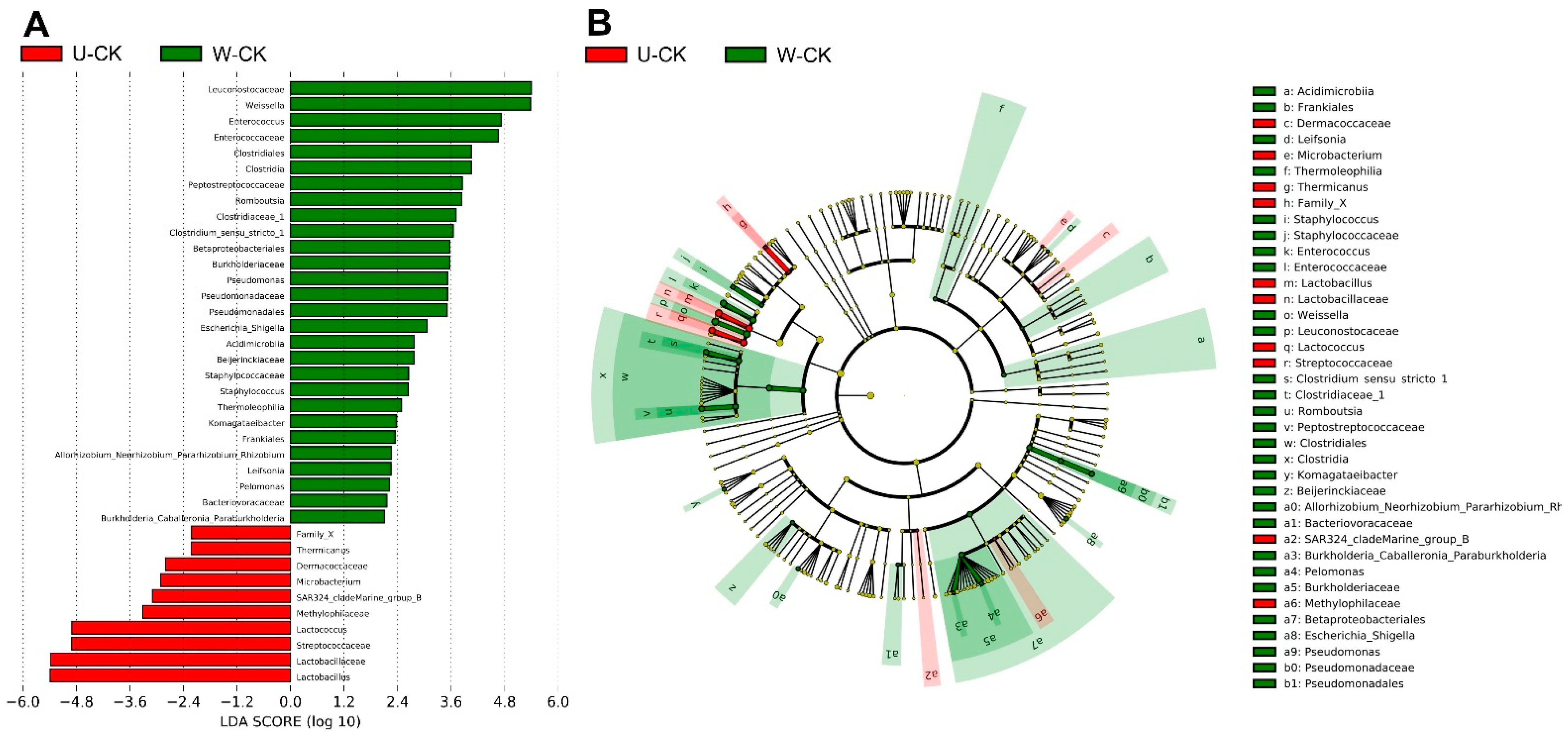 Fermentation 08 00262 g004