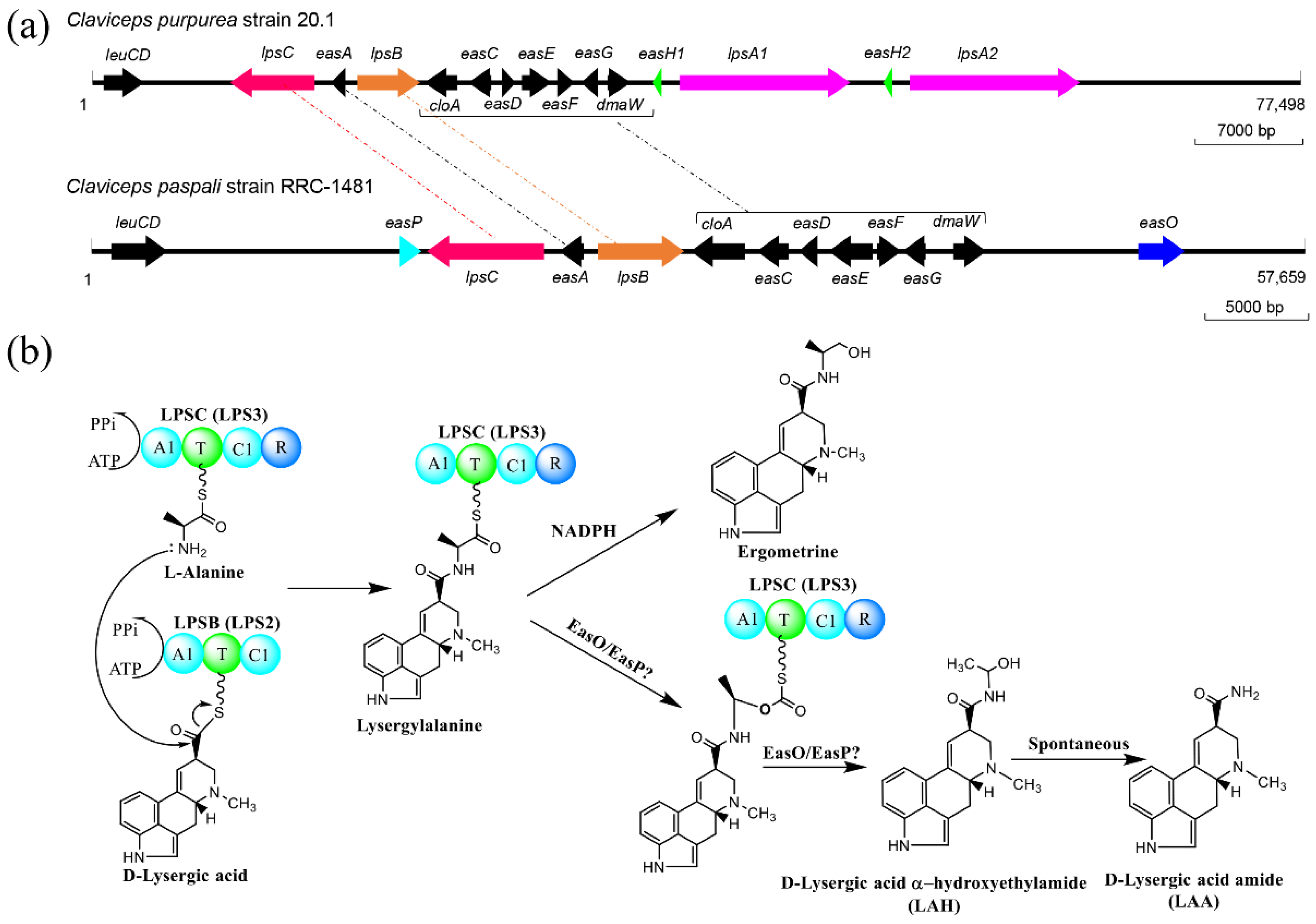 Fermentation 08 00263 g001