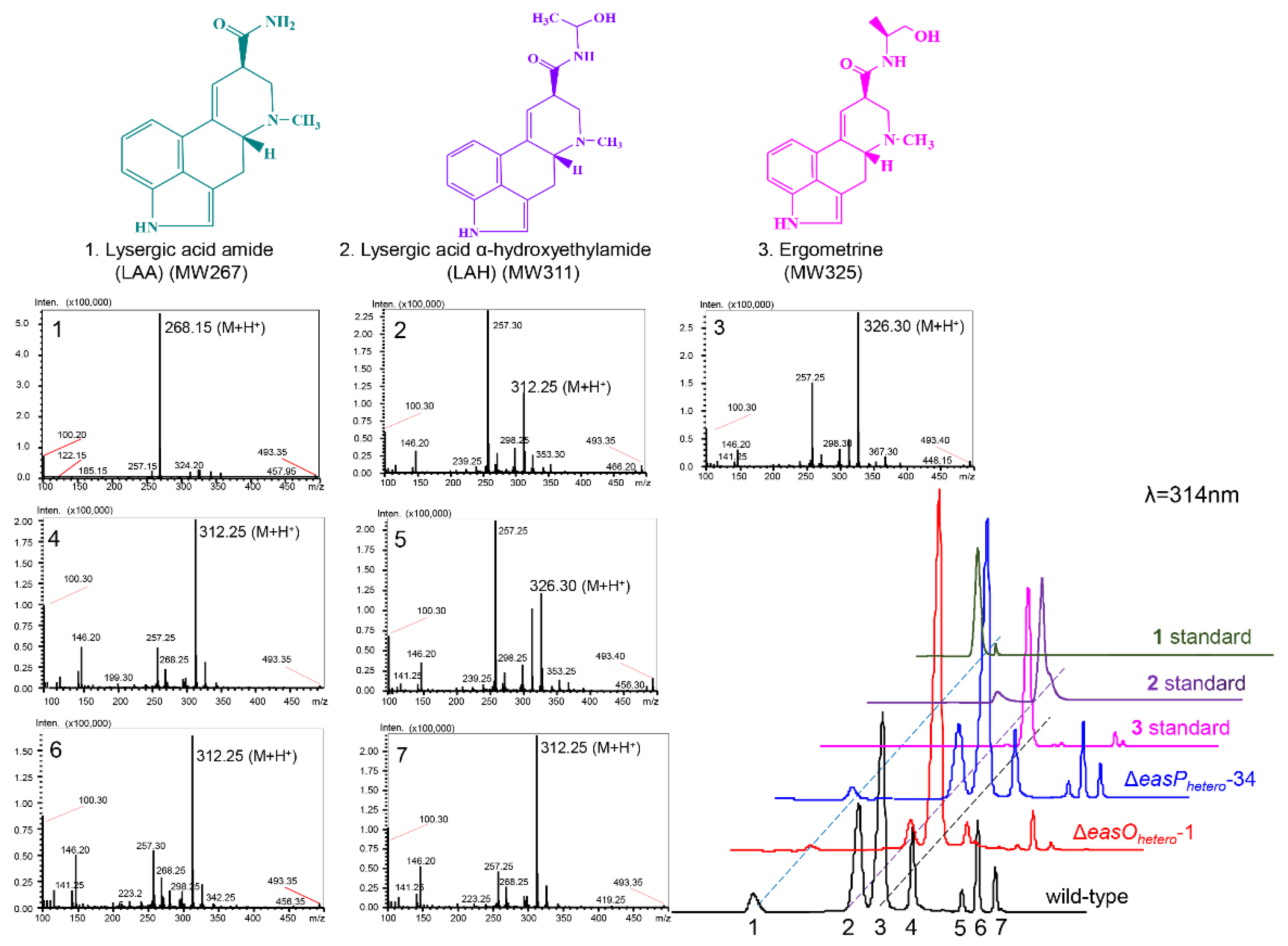 Fermentation 08 00263 g004