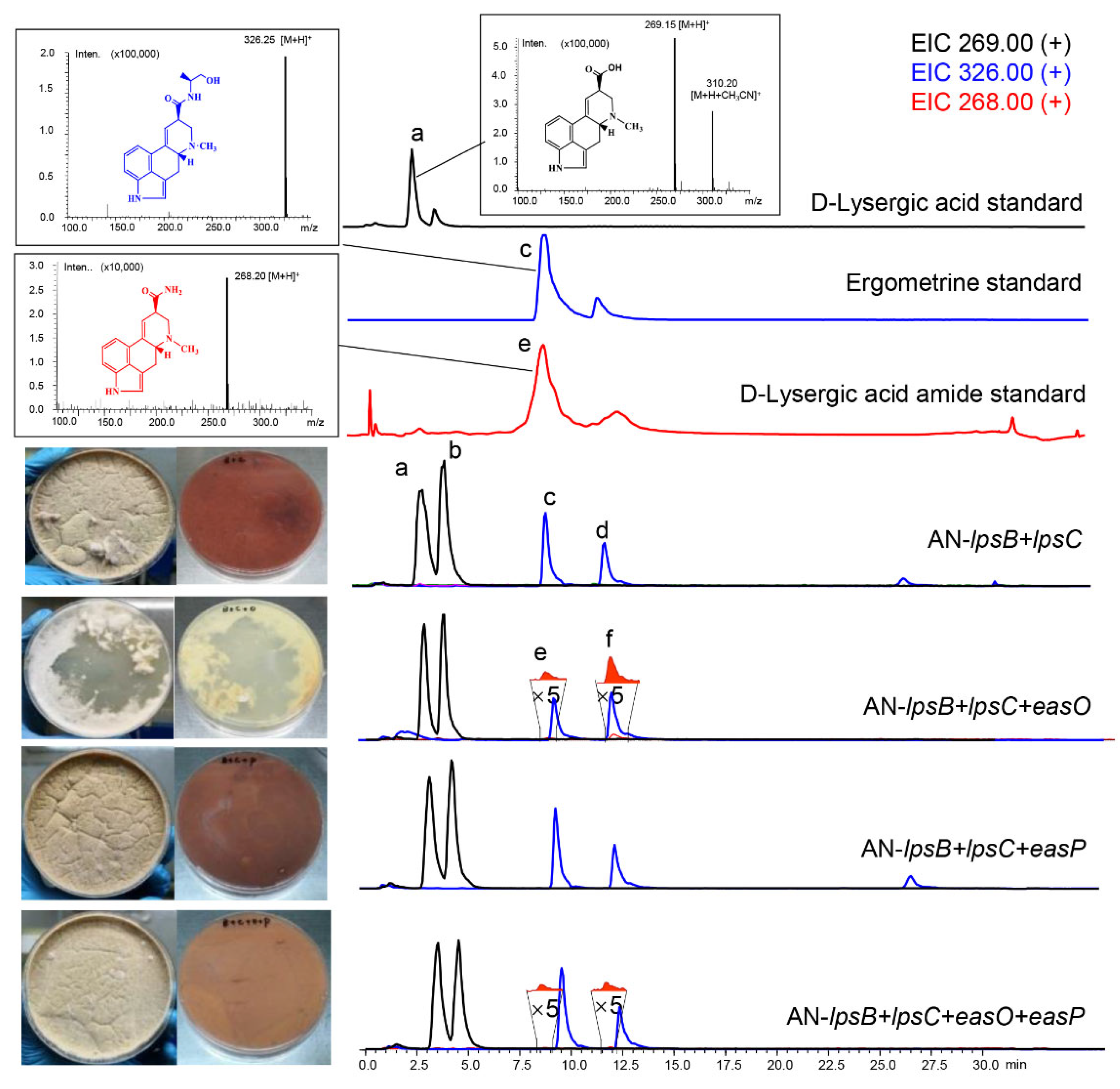 Fermentation 08 00263 g006