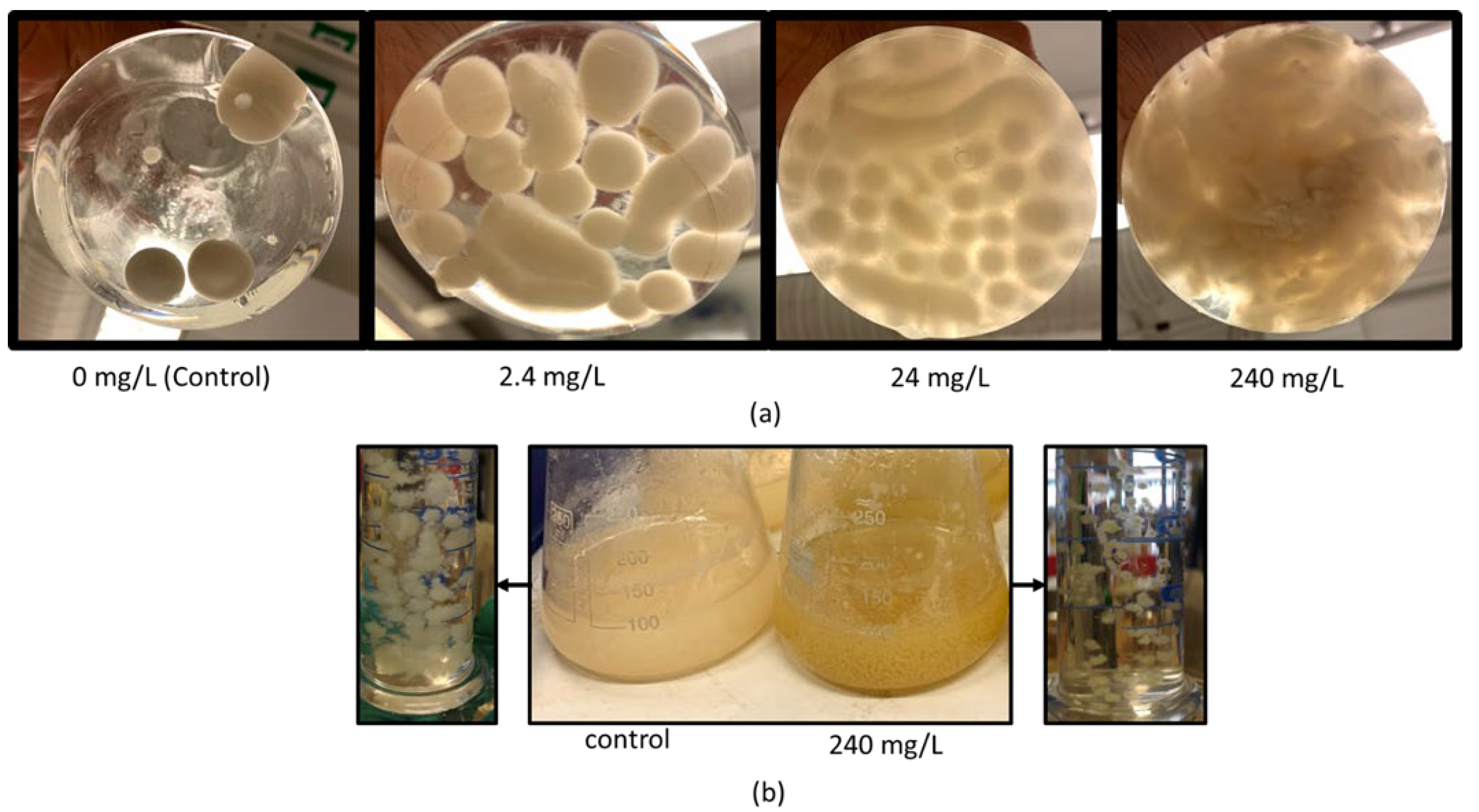 Fermentation 08 00270 g006