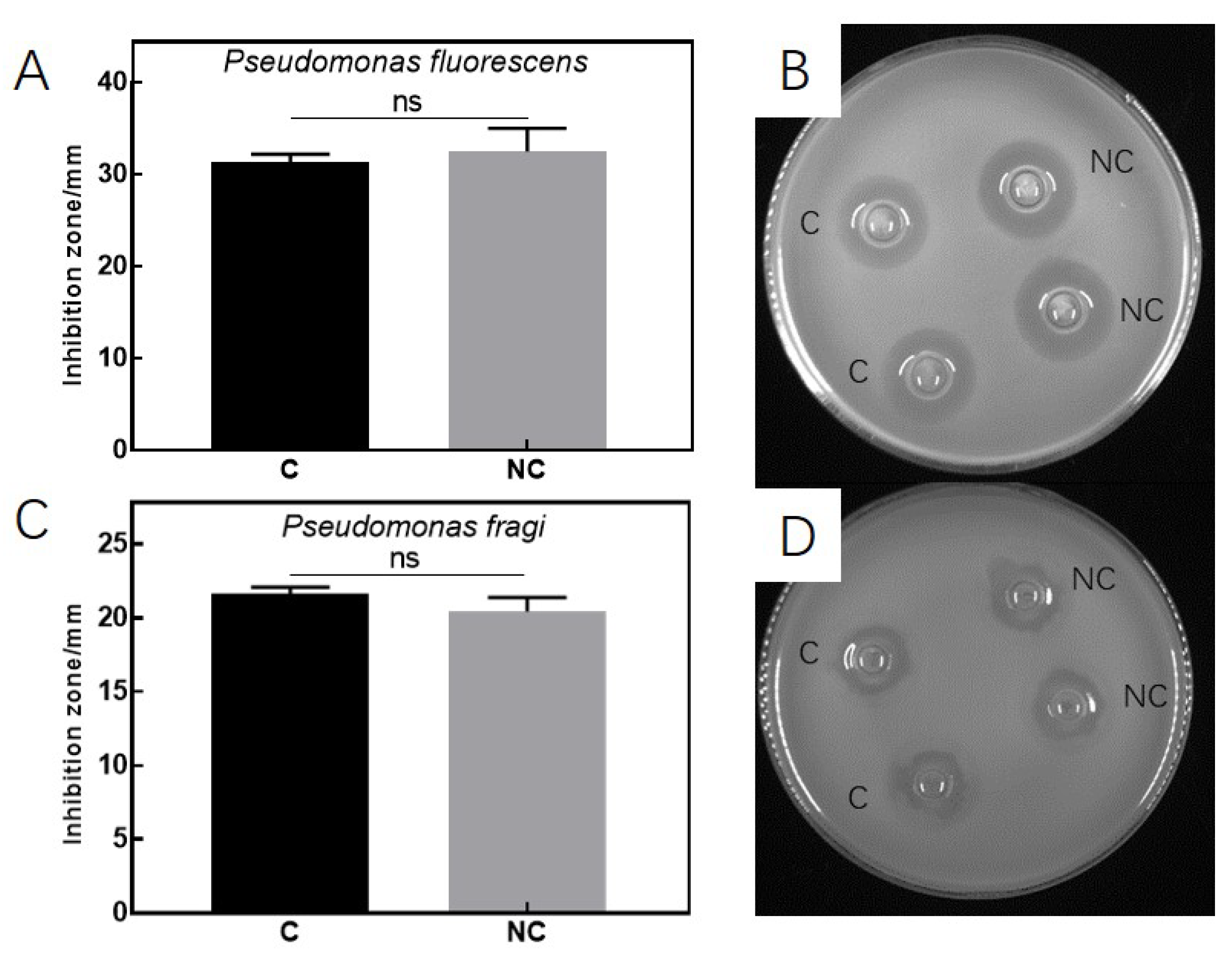 Fermentation 08 00298 g001