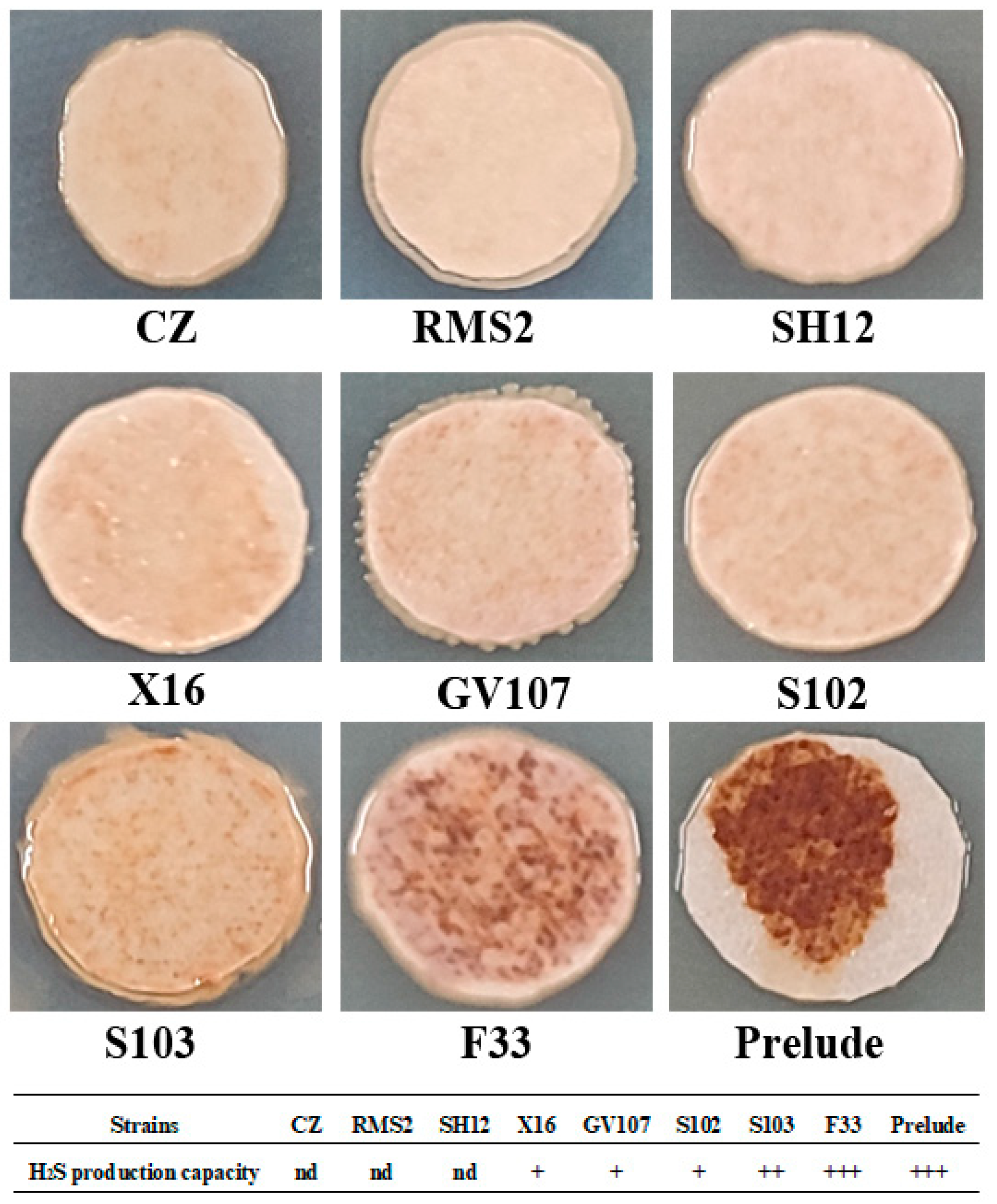 Fermentation 08 00311 g003