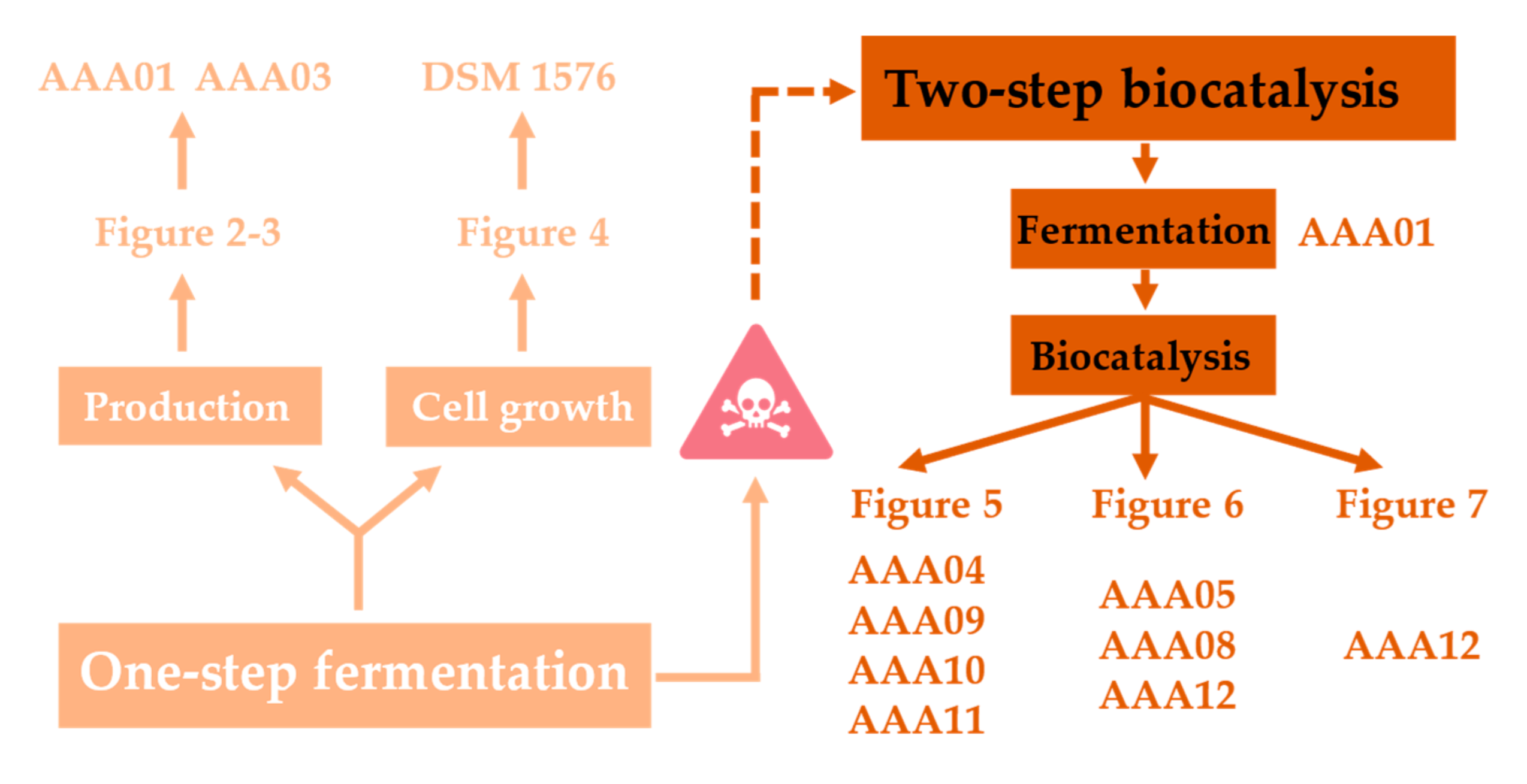 Fermentation 08 00344 g001
