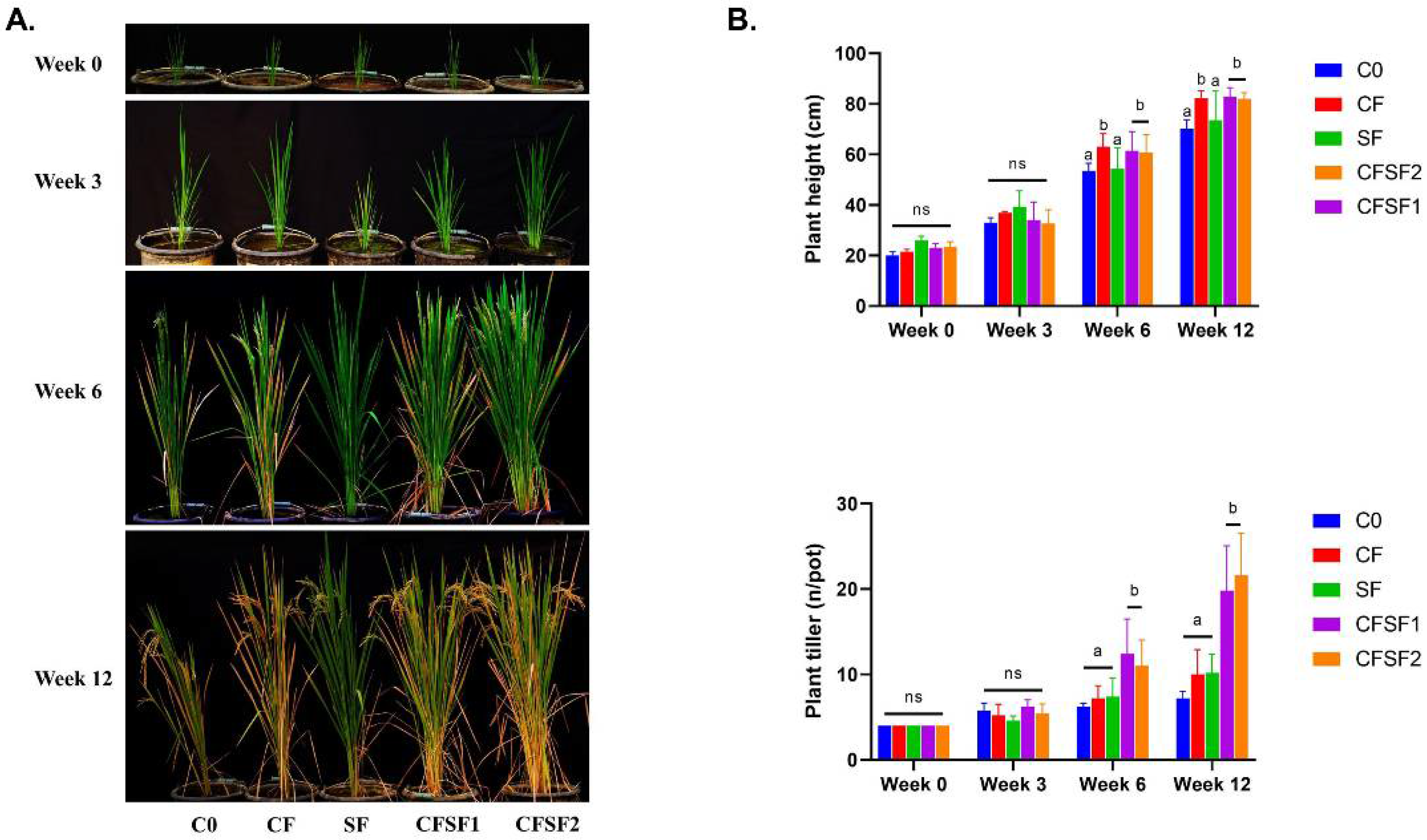 Fermentation 08 00420 g001