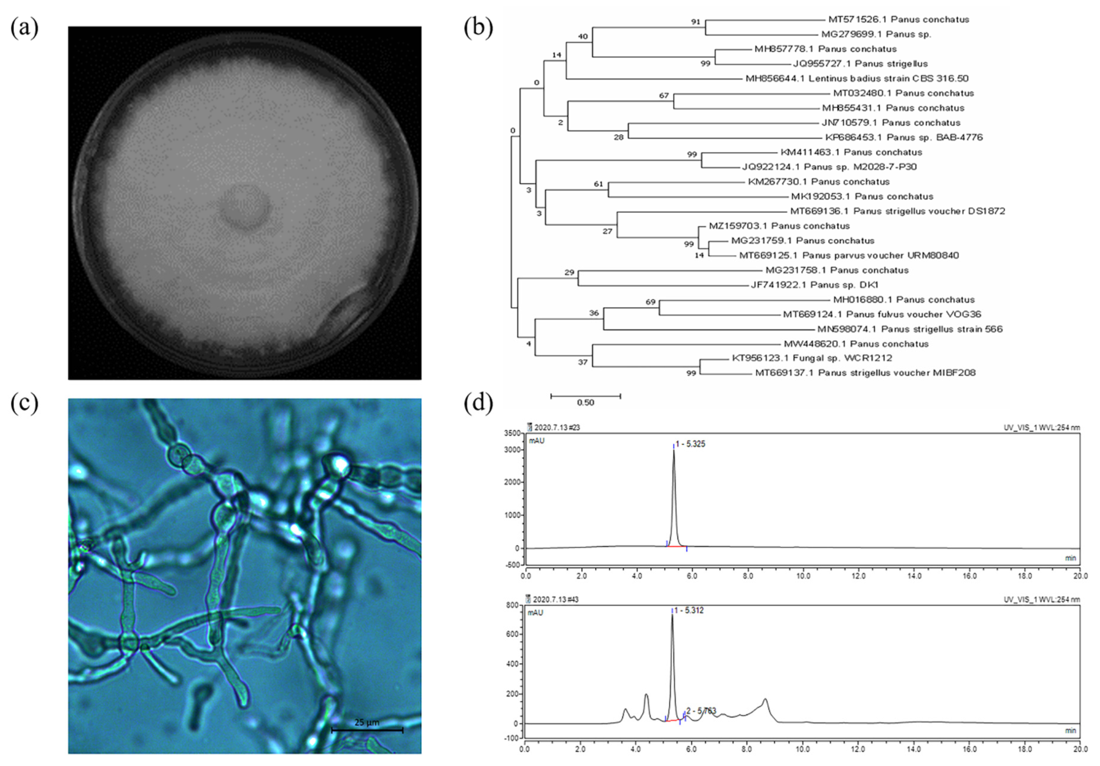 Fermentation 08 00431 g002