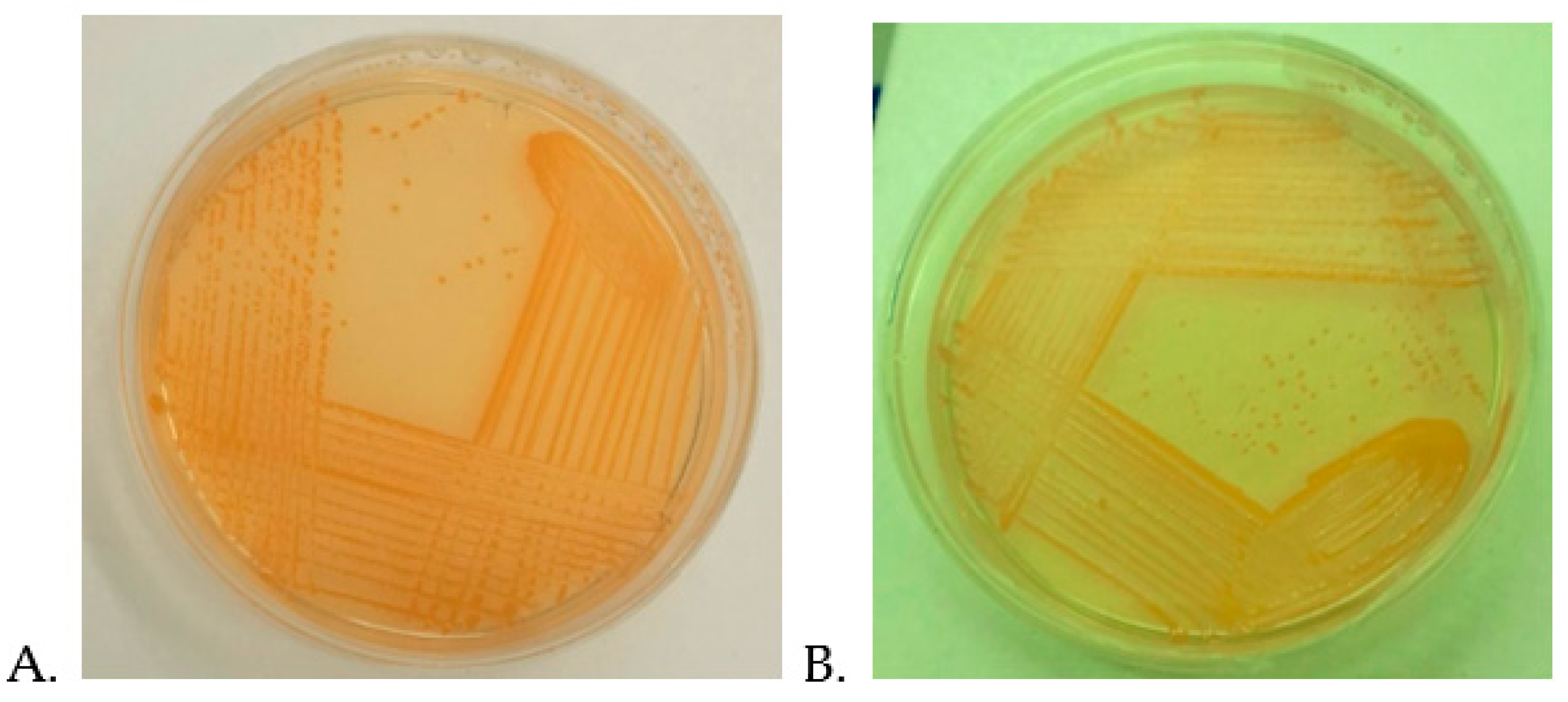 Fermentation 08 00440 g001