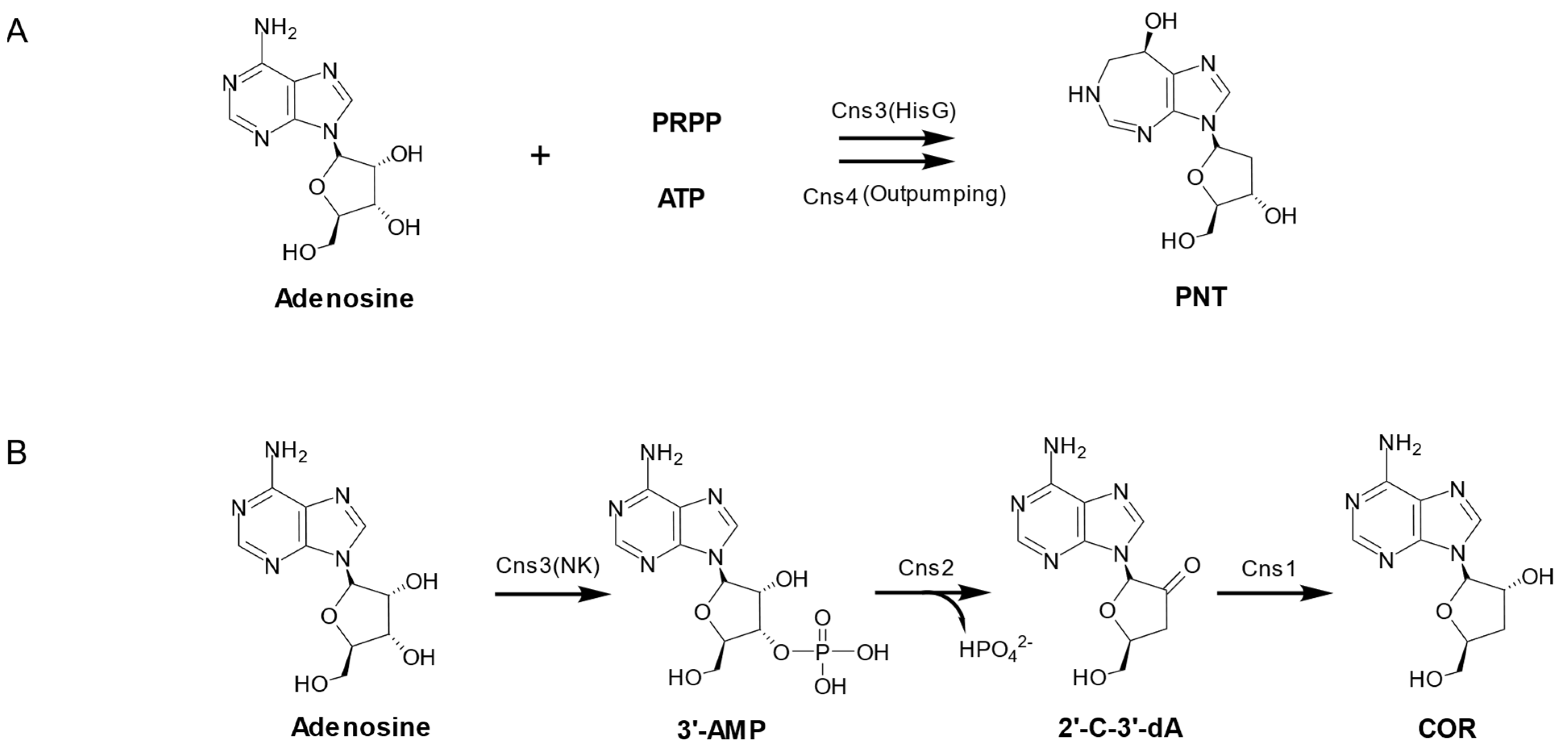 Fermentation 08 00459 g006