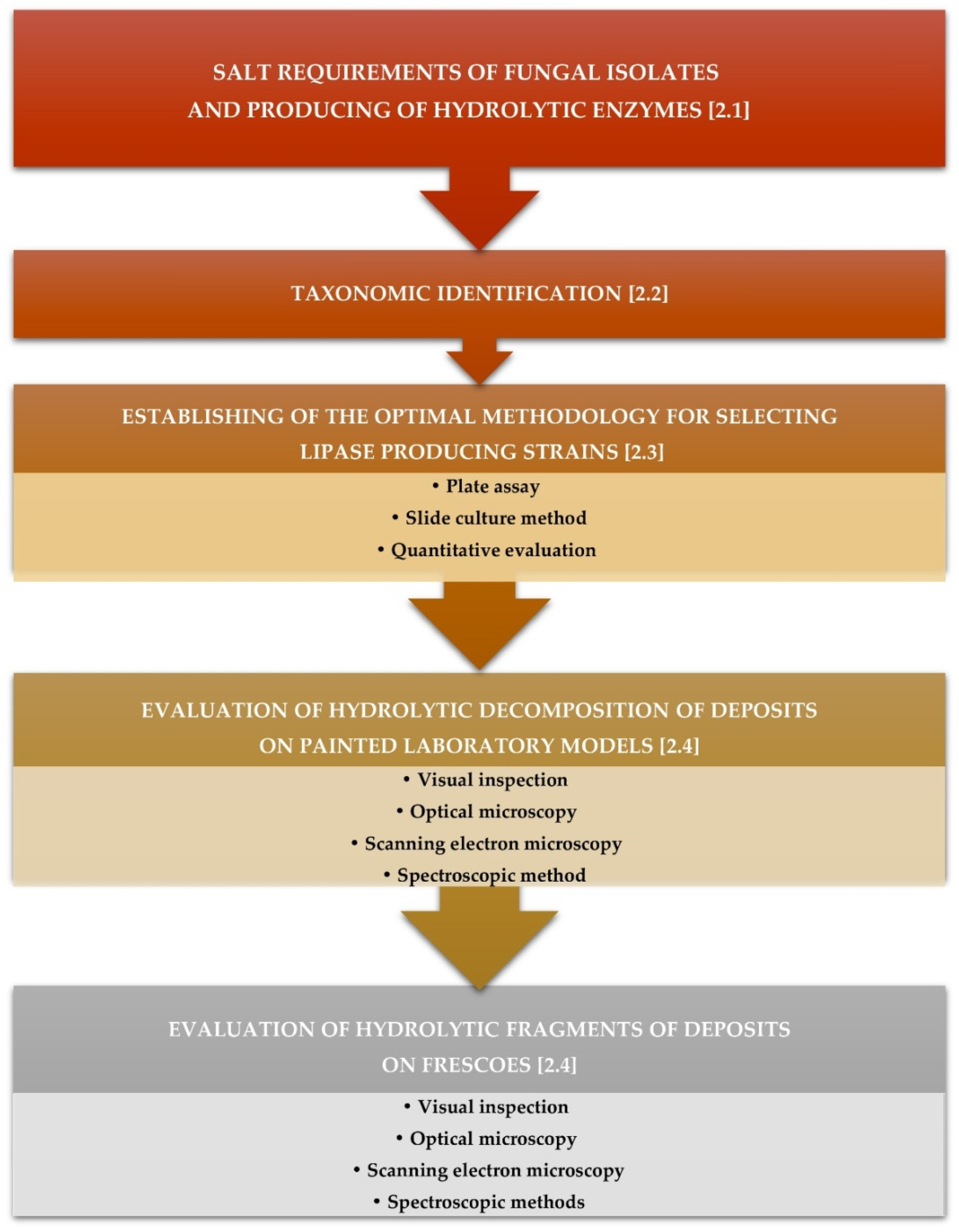 Fermentation 08 00462 g001 Fermentation 08 00462 g001