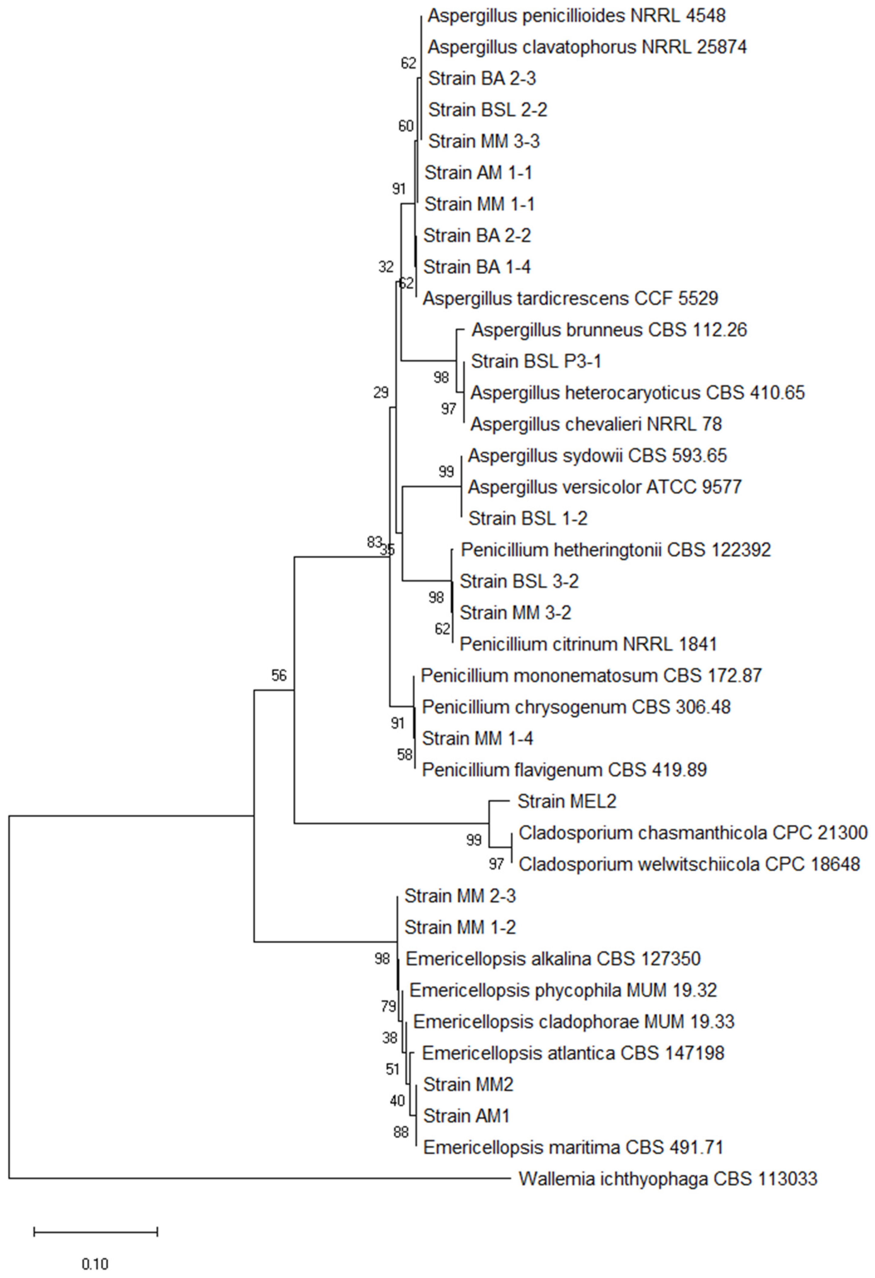 Fermentation 08 00462 g002 Fermentation 08 00462 g002