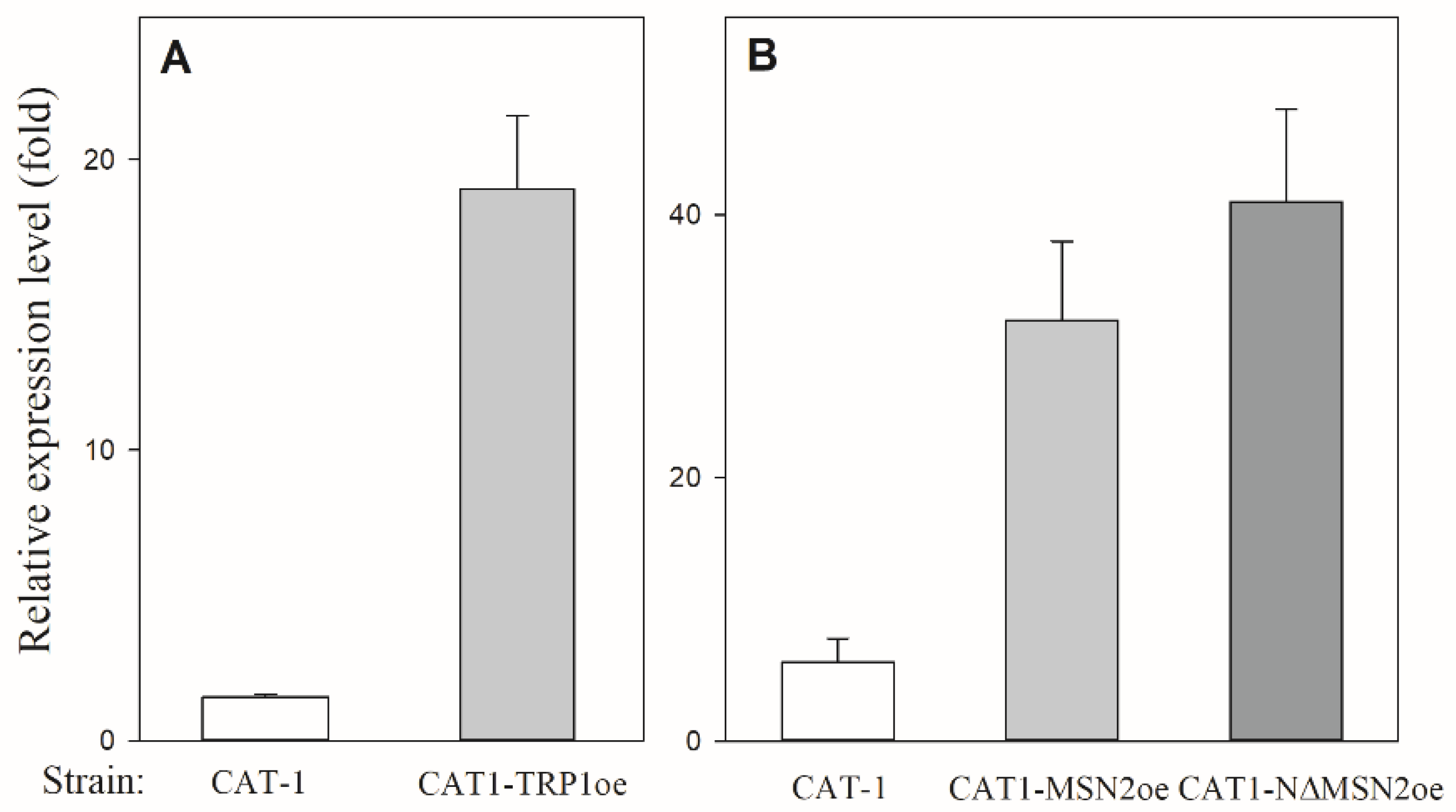 Fermentation 08 00470 g003