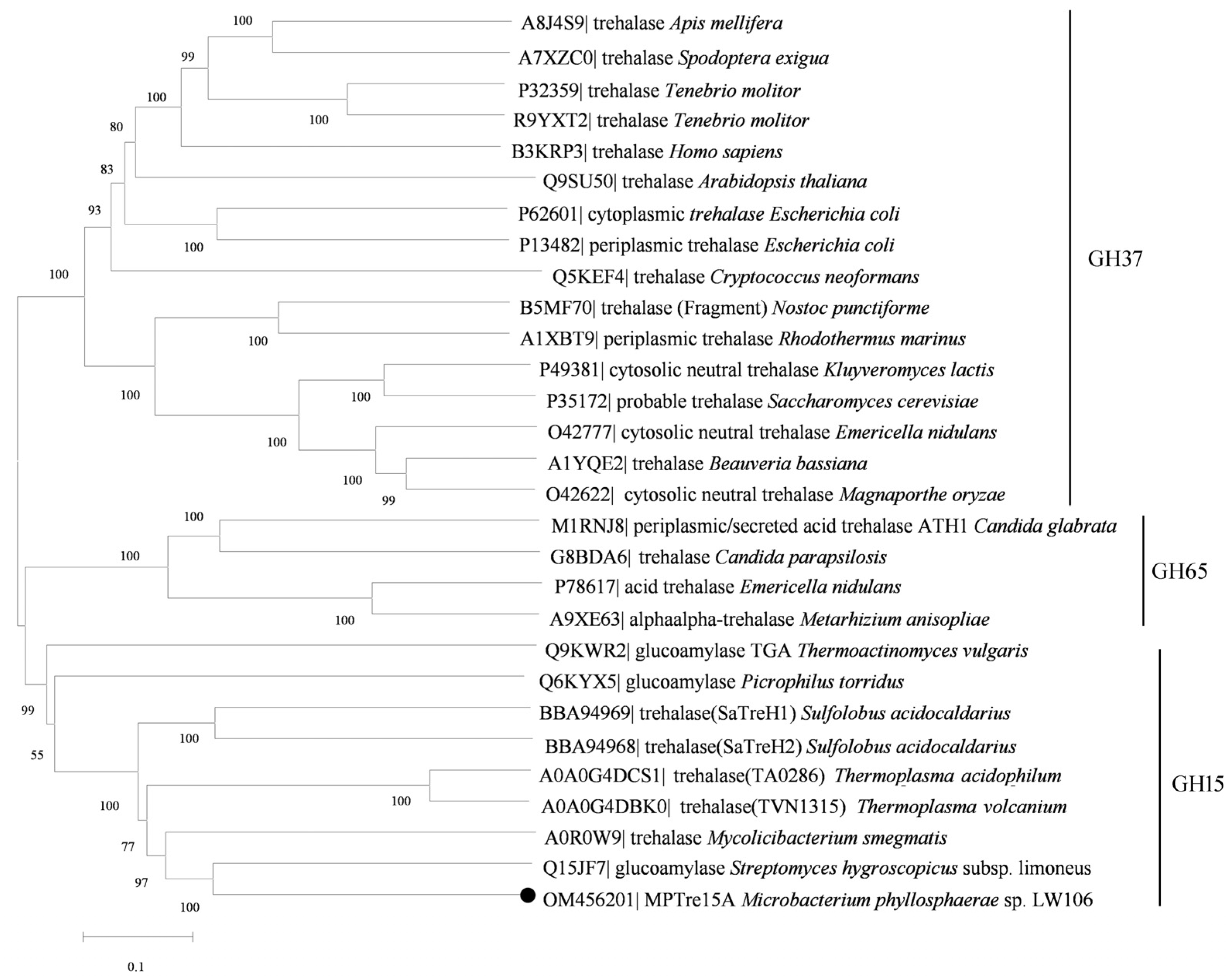 Fermentation 08 00471 g002