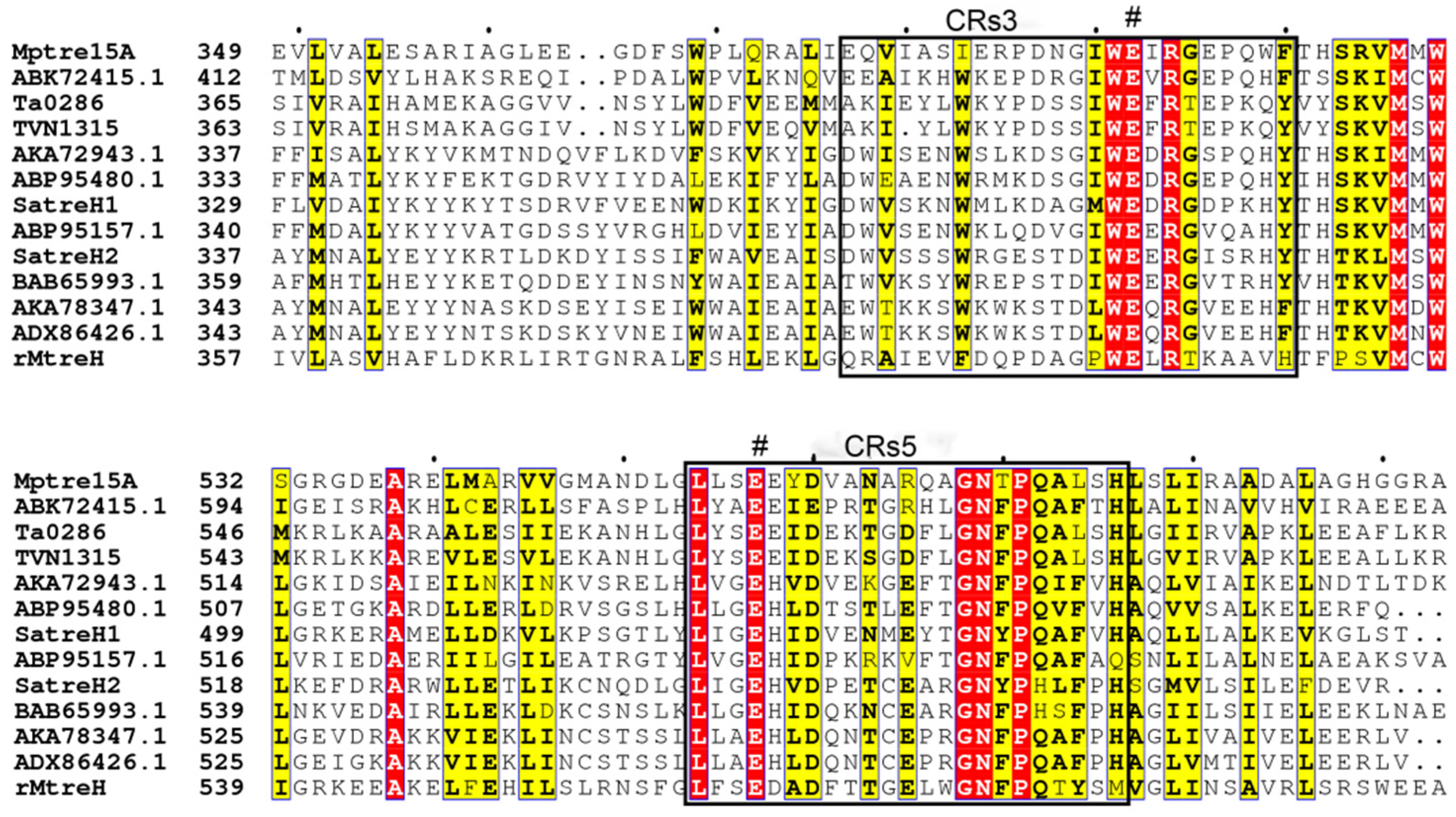 Fermentation 08 00471 g003