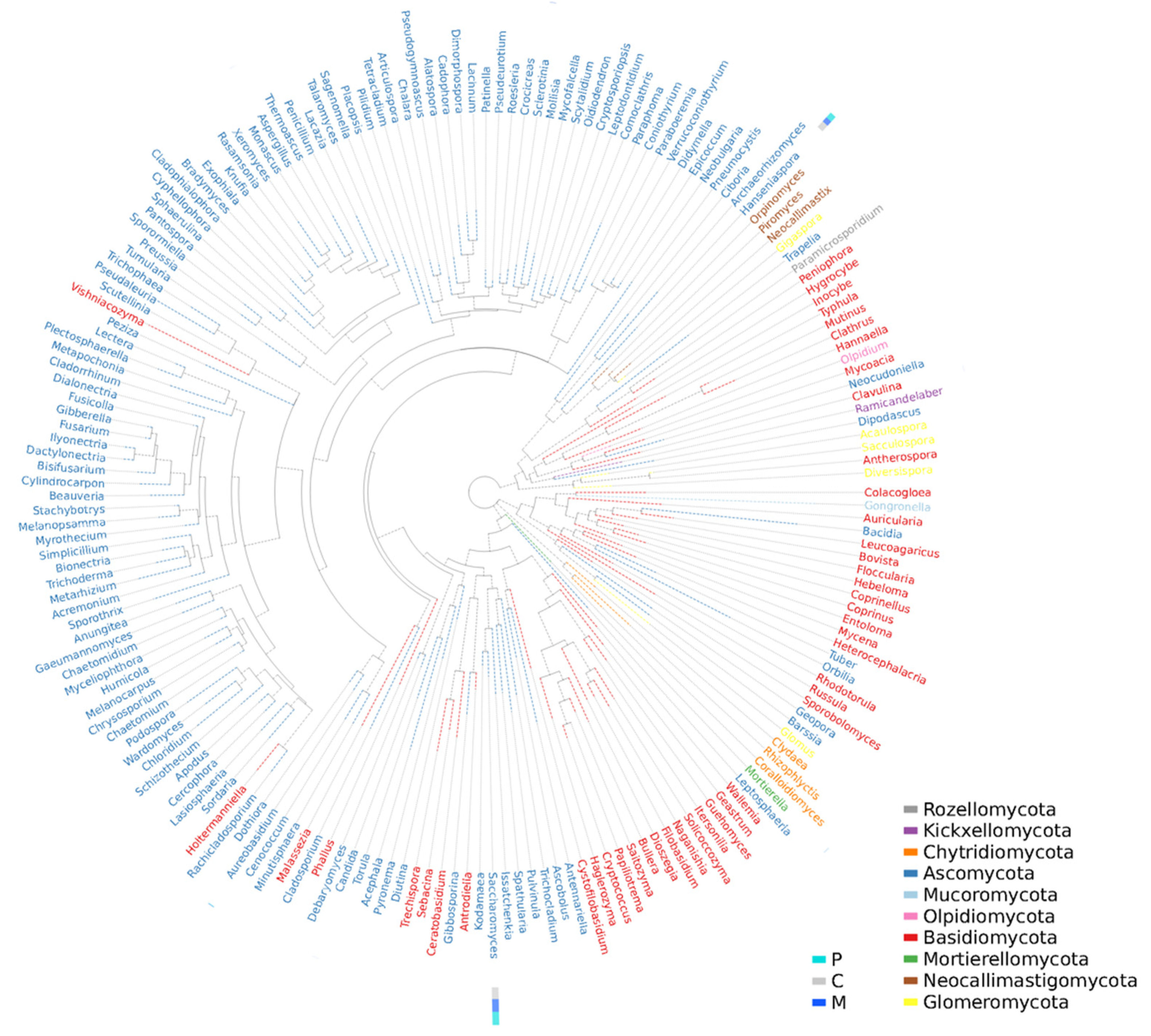 Fermentation 08 00475 g004