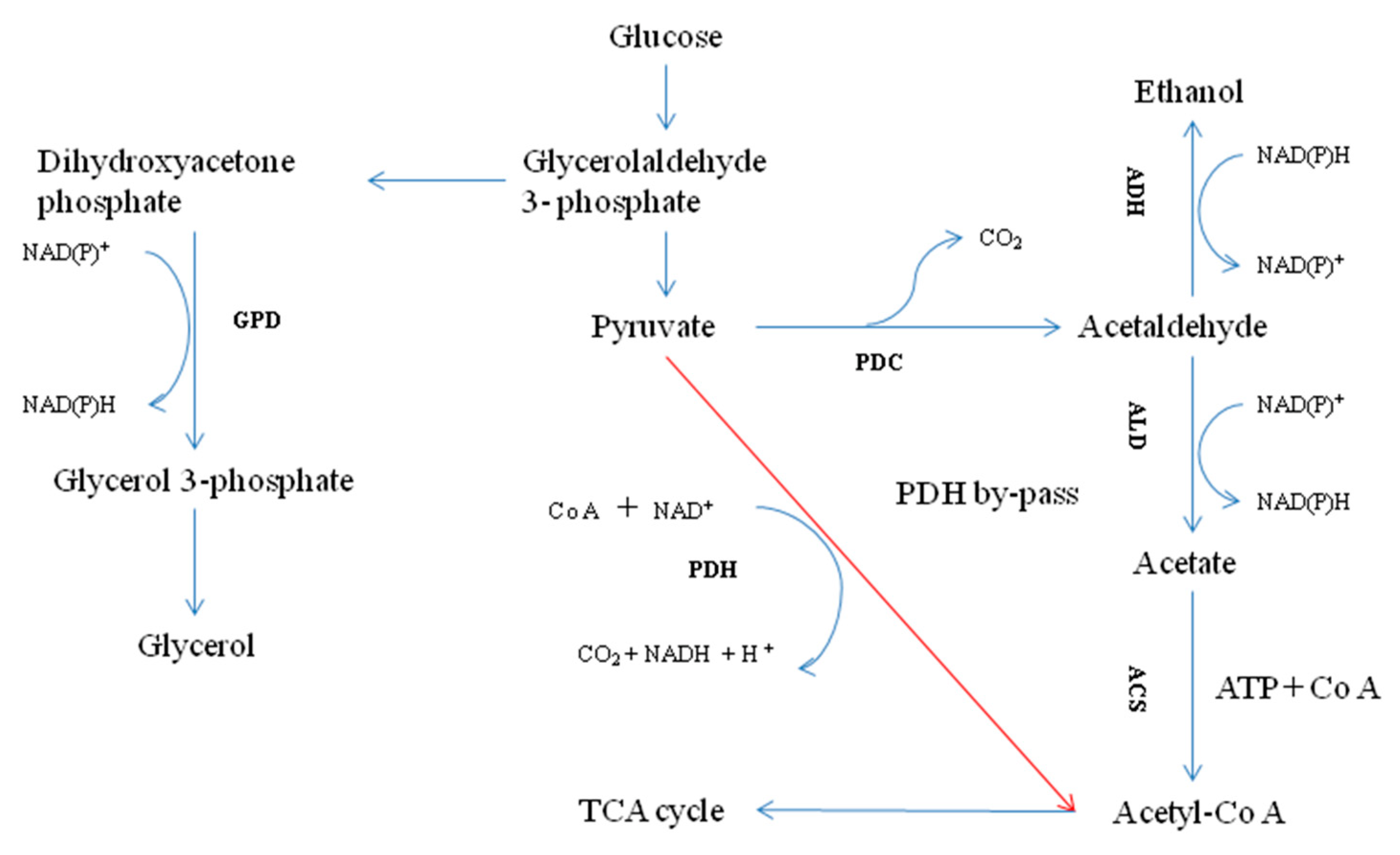 Fermentation 08 00480 g006