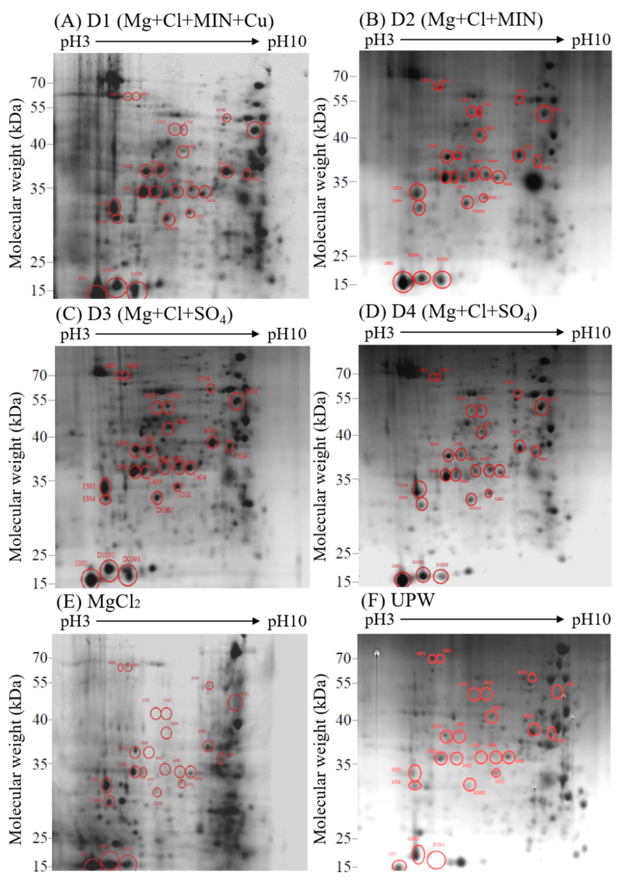 Fermentation 08 00481 g004