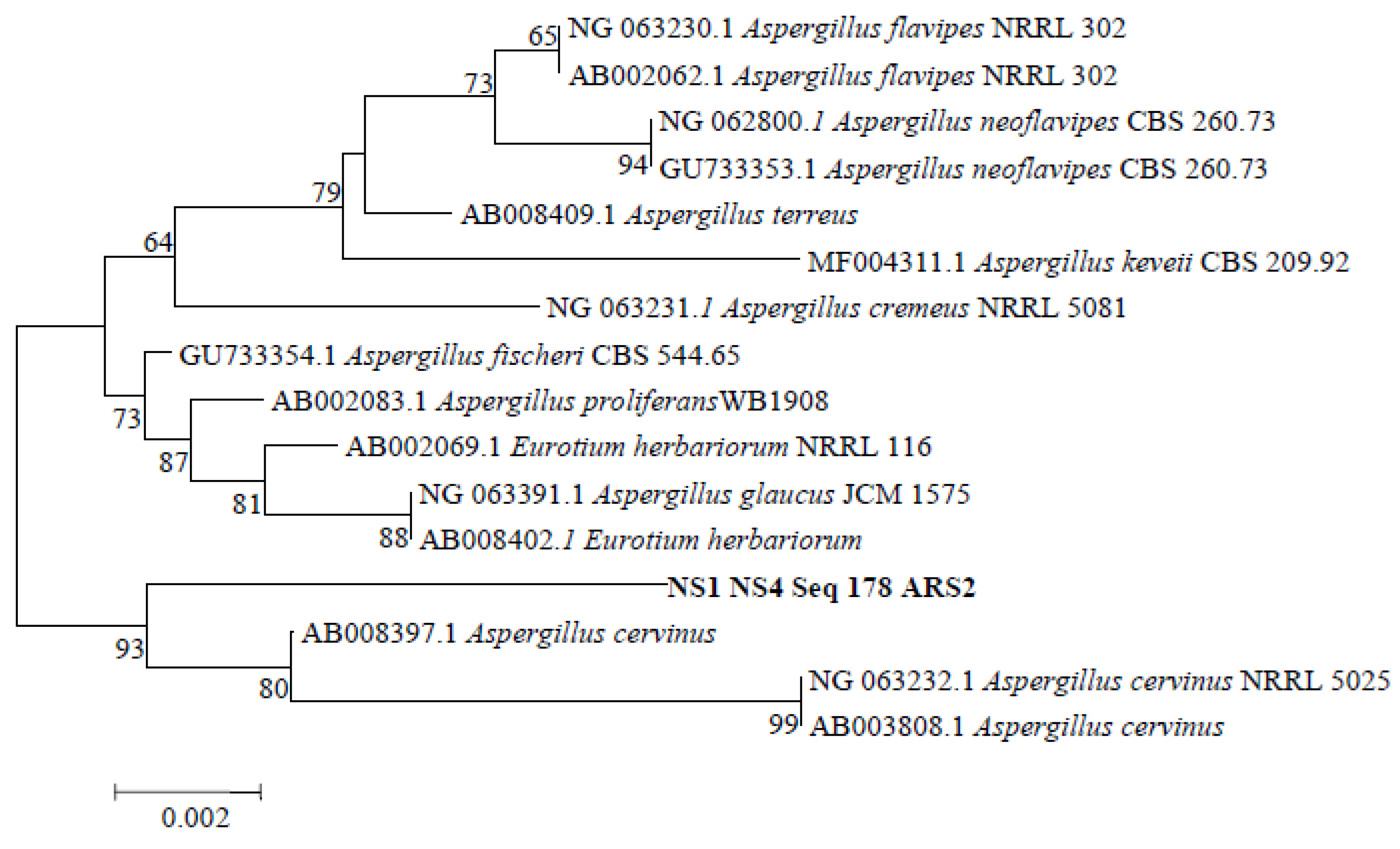 Fermentation 08 00485 g003 Fermentation 08 00485 g003