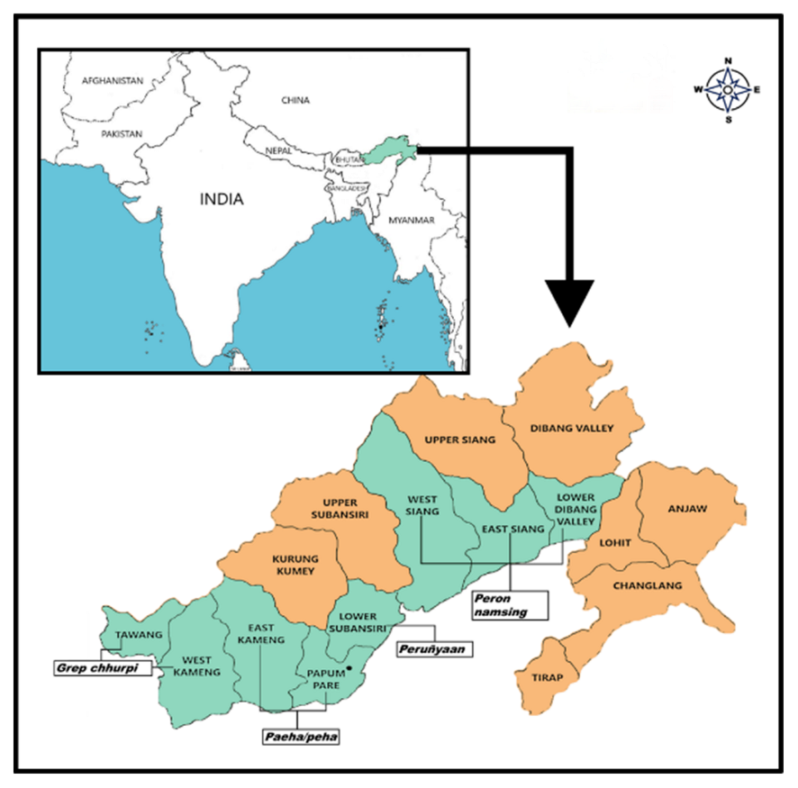 Fermentation 08 00495 g001