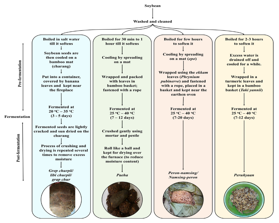 Fermentation 08 00495 g002