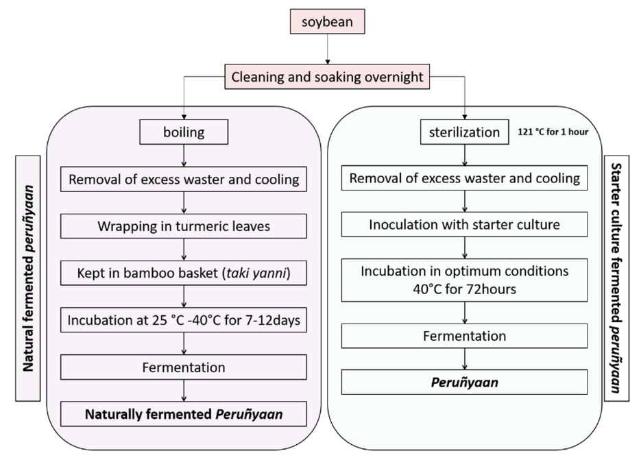Fermentation 08 00495 g003