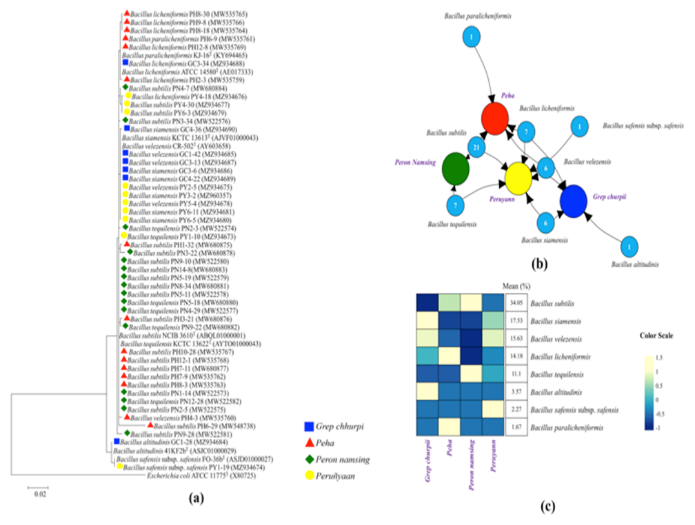 Fermentation 08 00495 g004