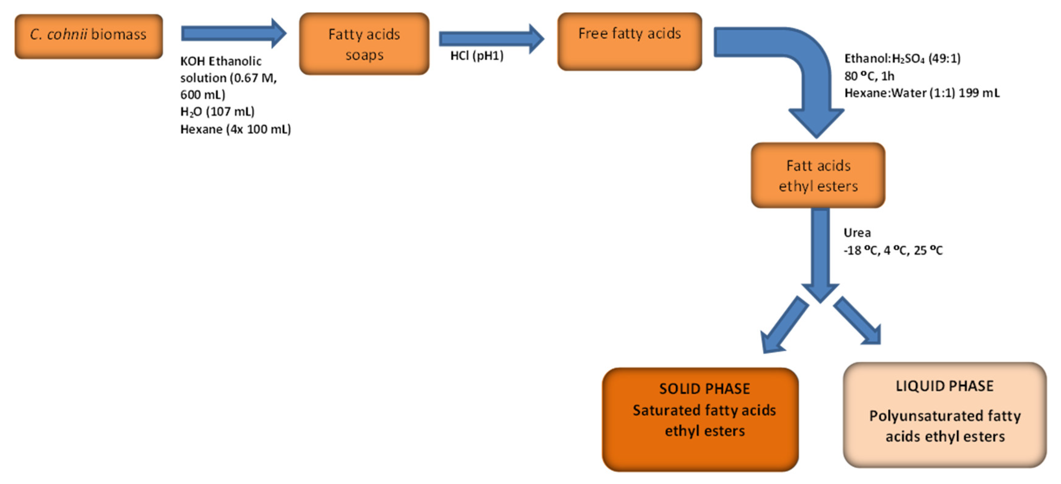 Fermentation 08 00502 g001