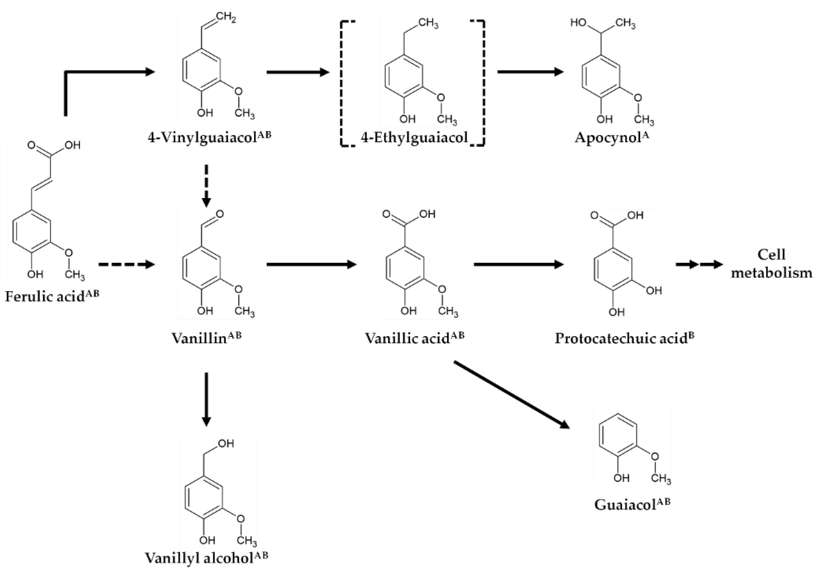 Fermentation 08 00508 g002
