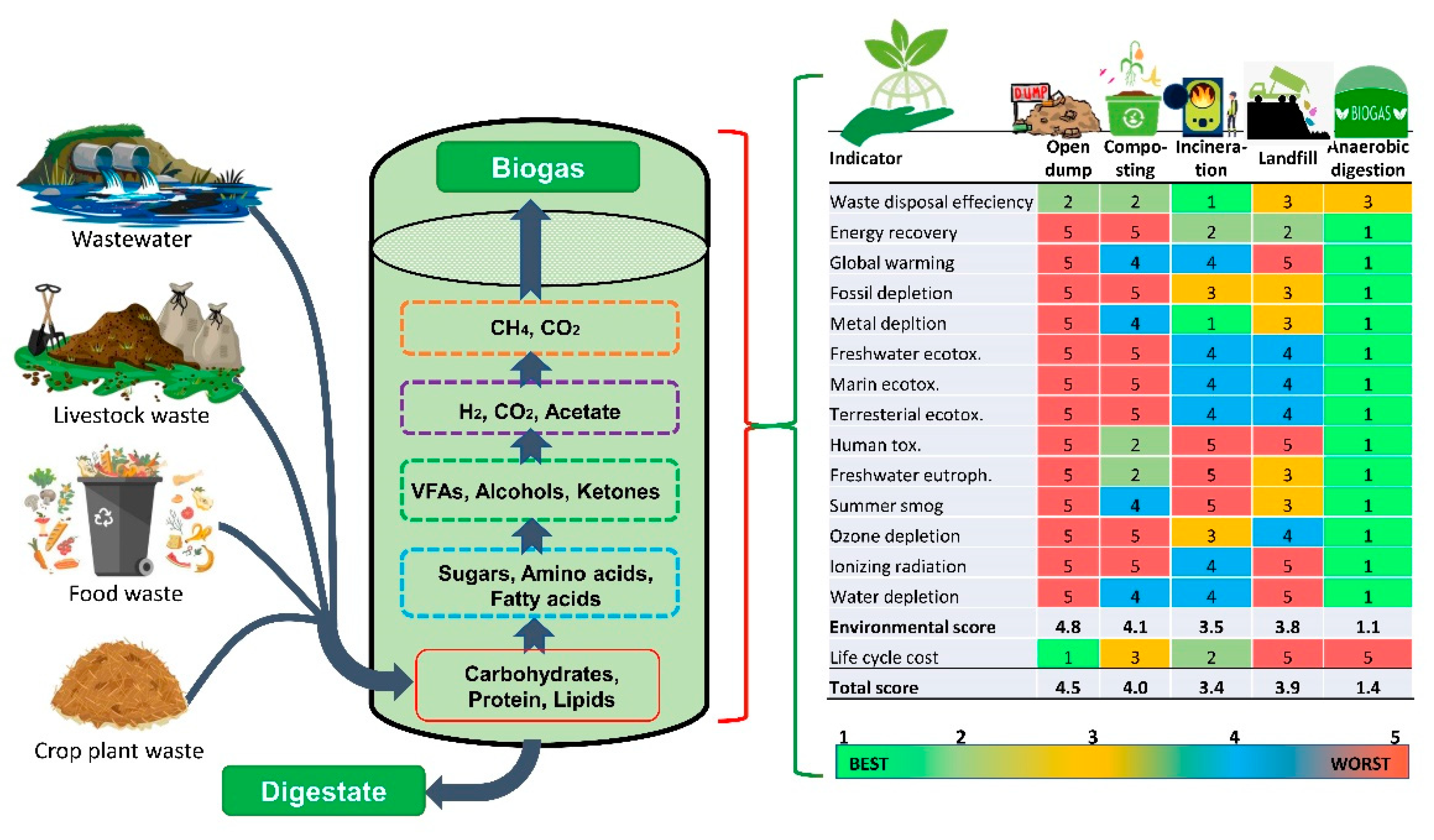 Fermentation 08 00520 g001