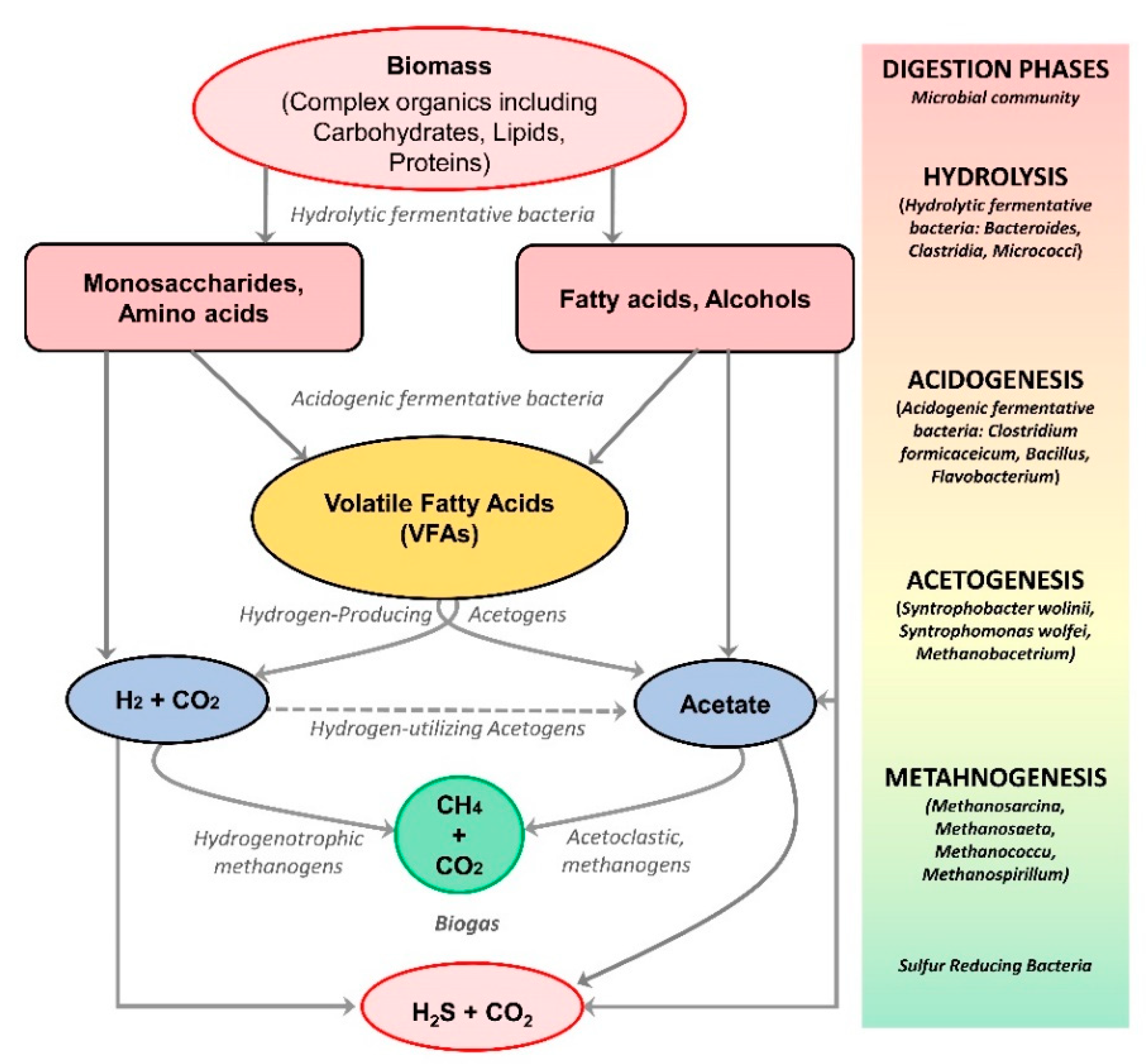 Fermentation 08 00520 g002