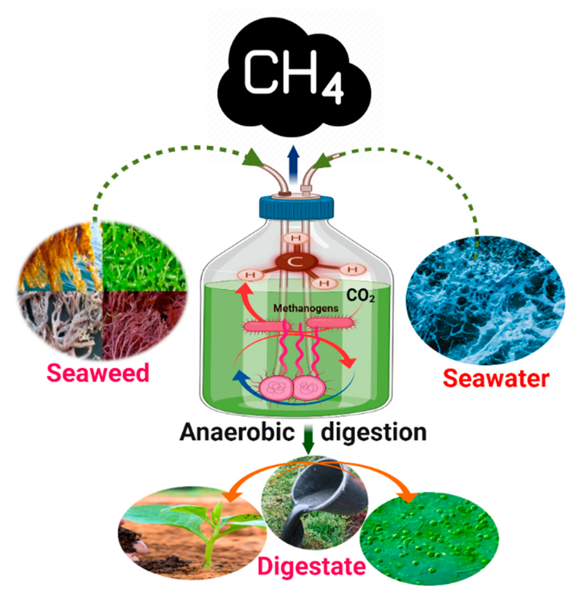 Fermentation 08 00520 g003