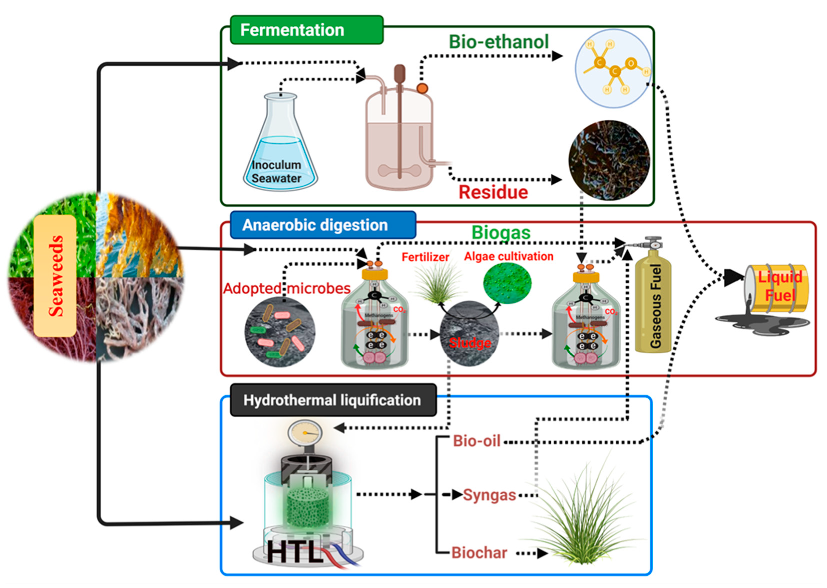 Fermentation 08 00520 g004
