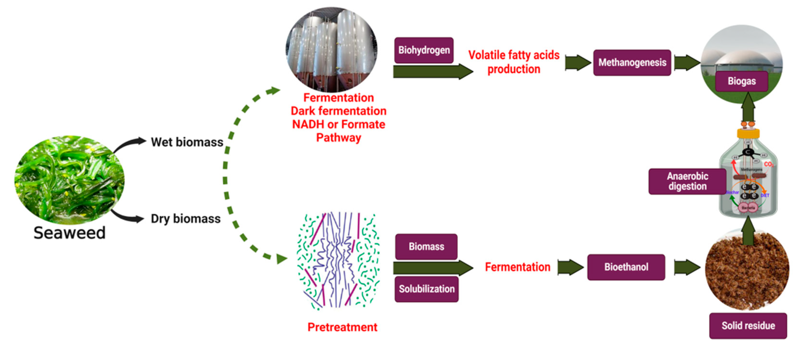 Fermentation 08 00520 g005