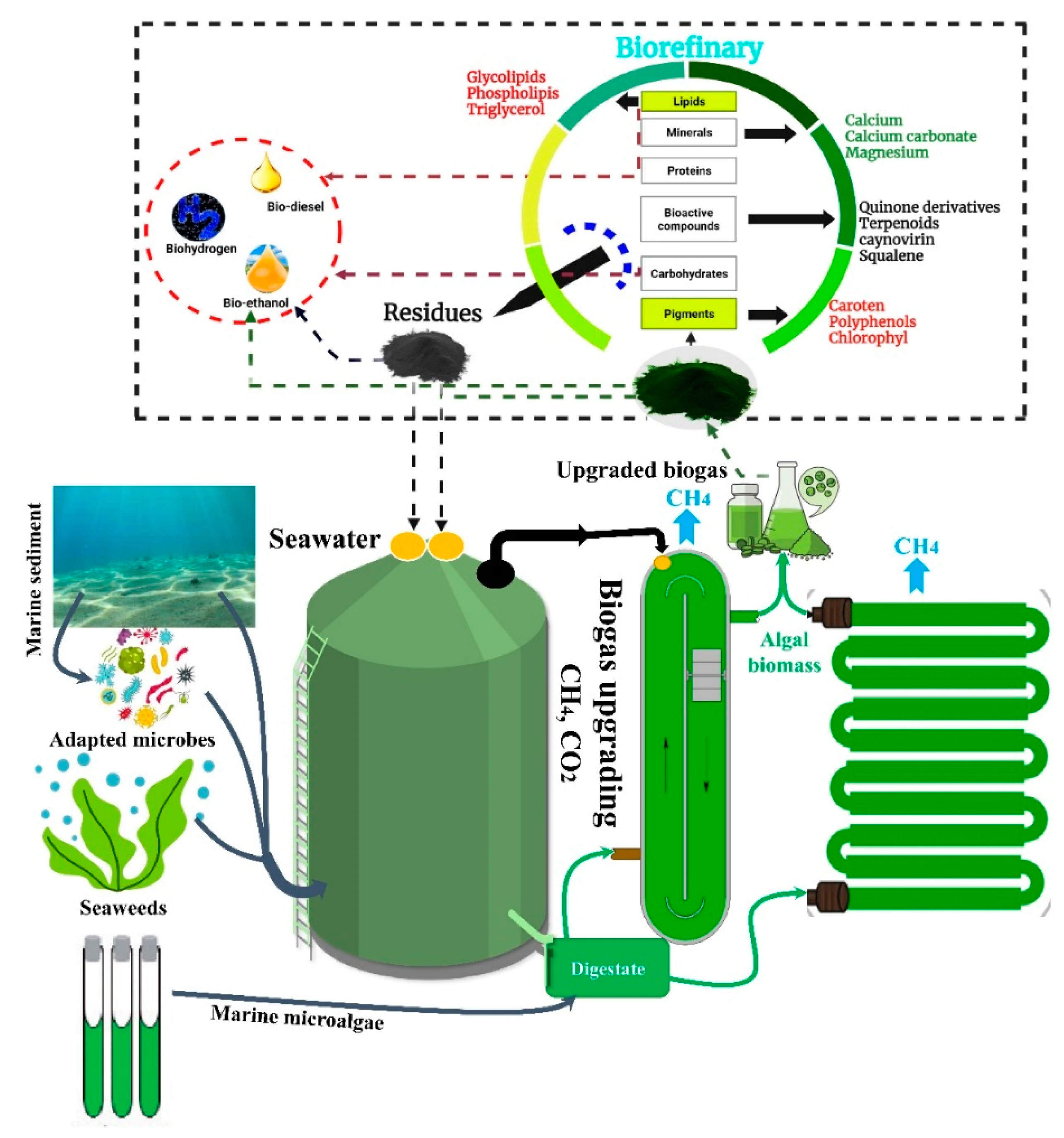 Fermentation 08 00520 g006
