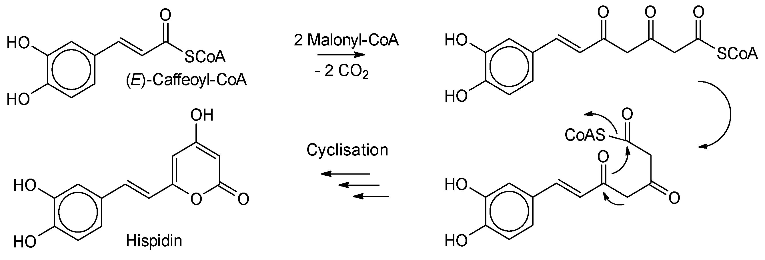 Fermentation 08 00541 sch001