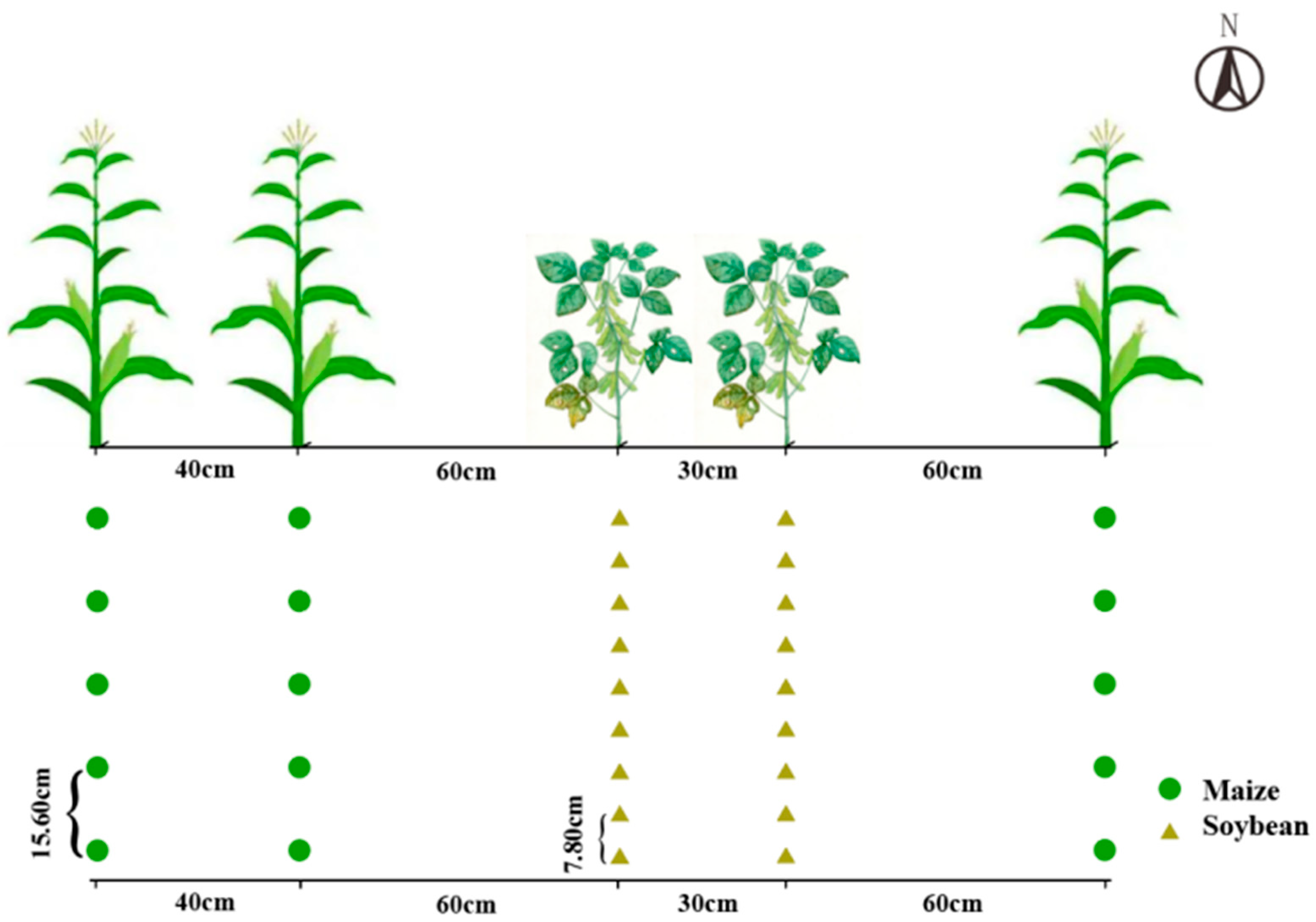 Fermentation 08 00542 g001
